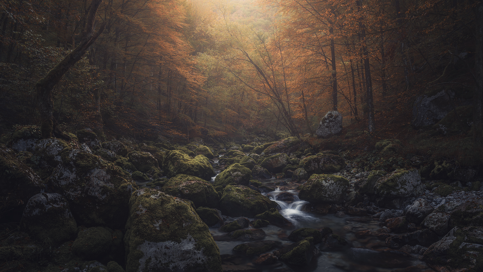 , de Franzoni Thomas