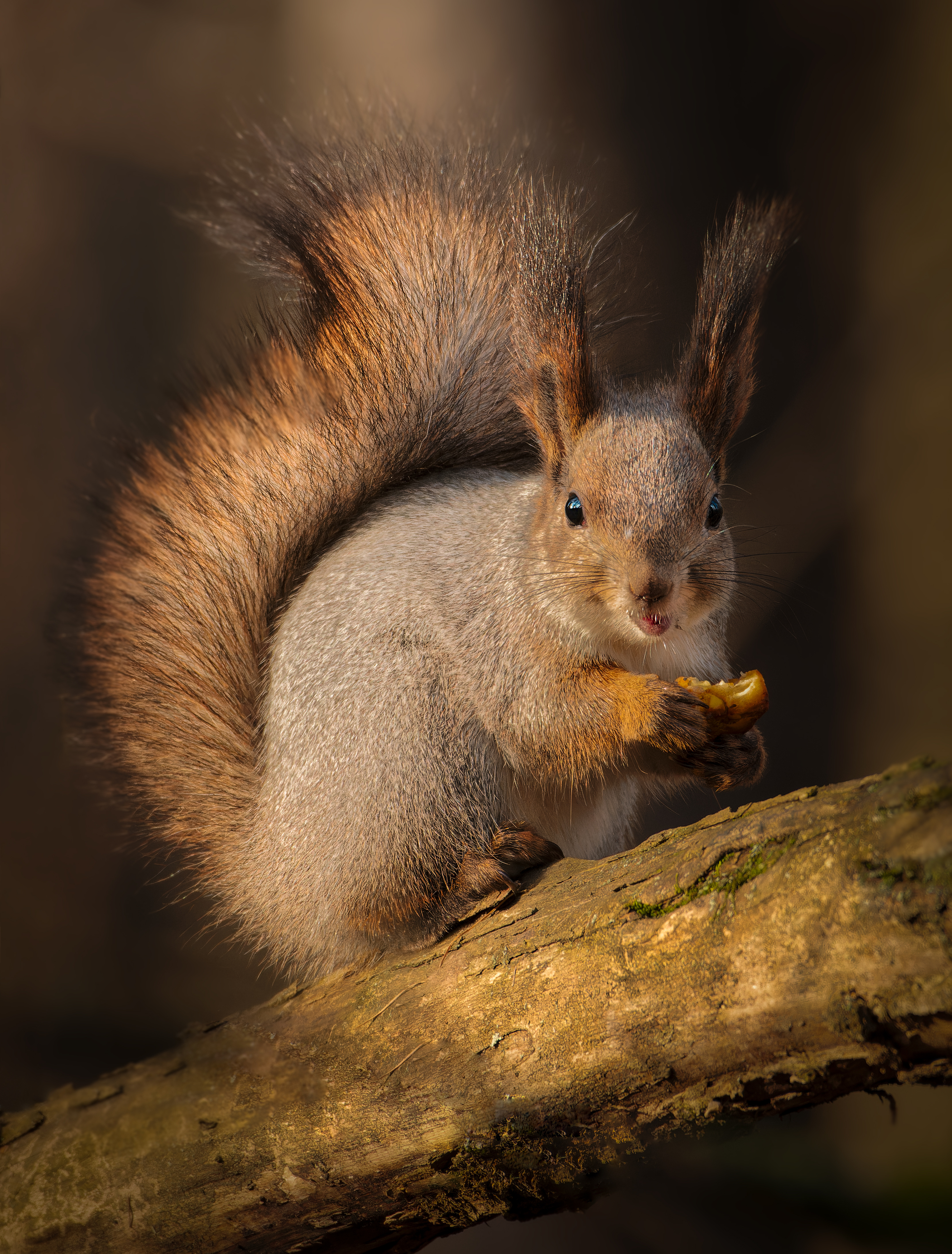 , Фото Александр