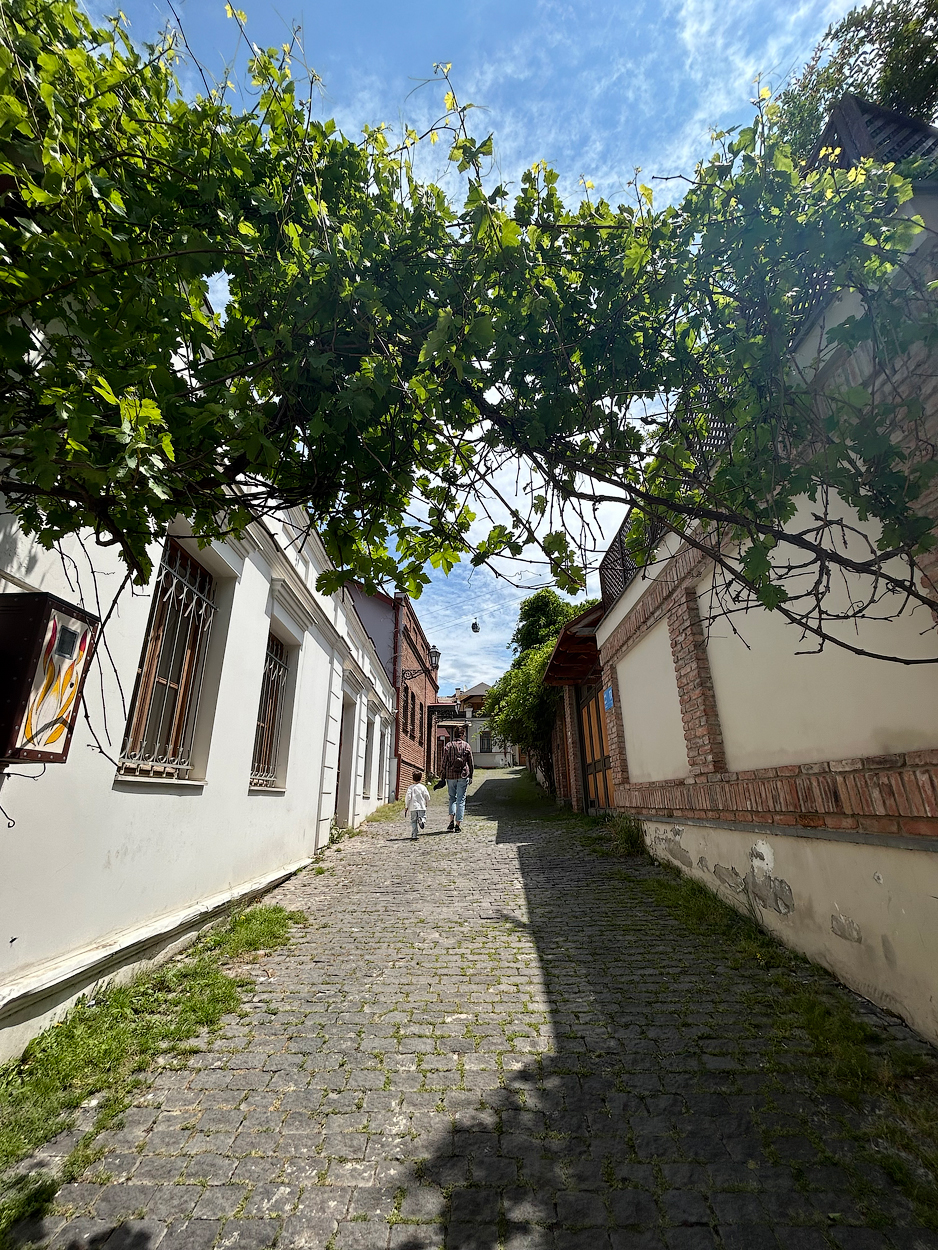 , Новикова Ольга