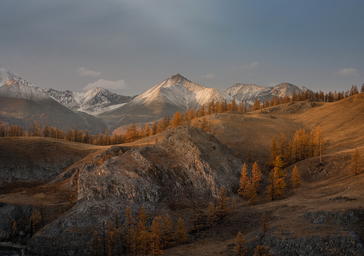 , Трофимов Алексей