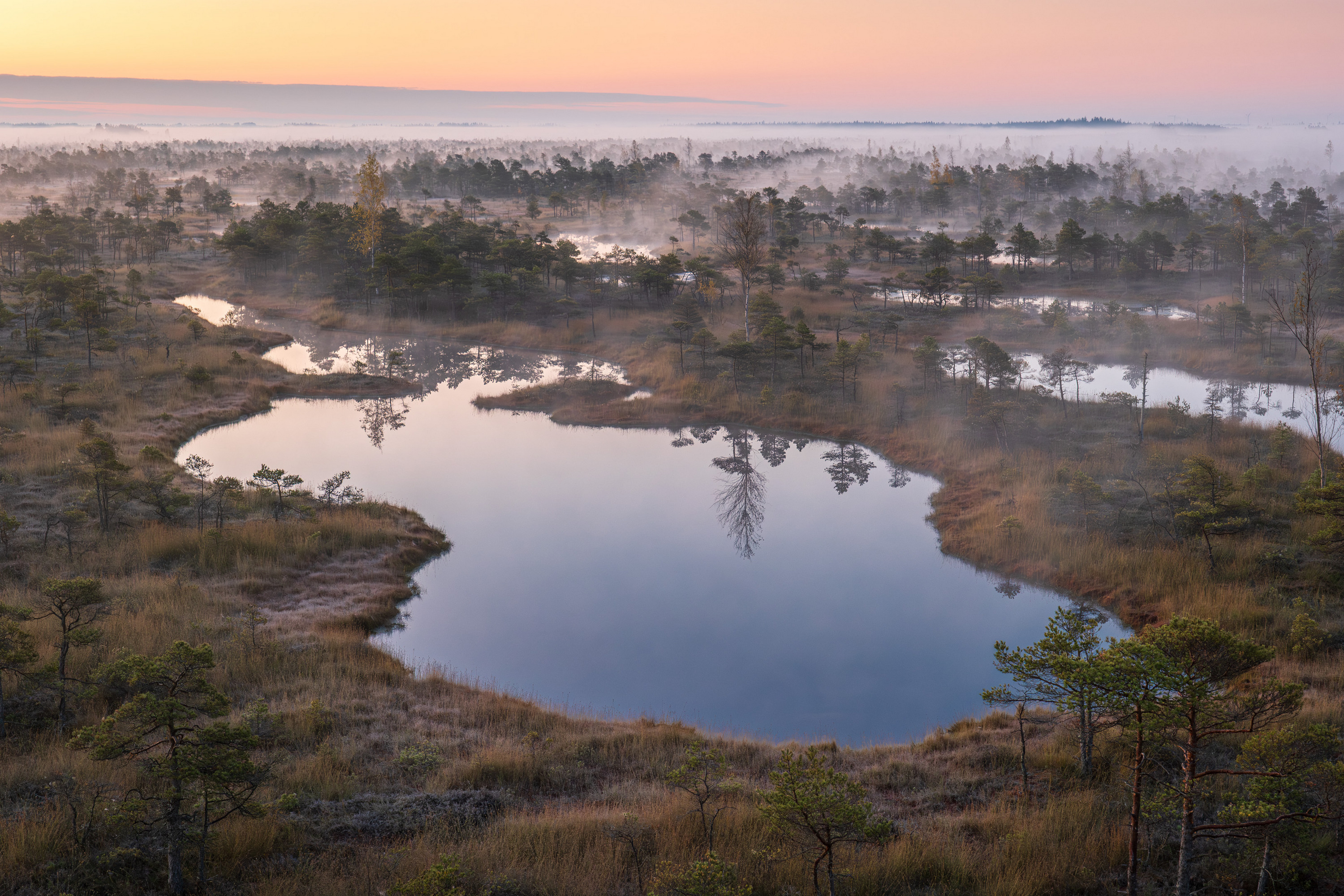 , Гордон Николай
