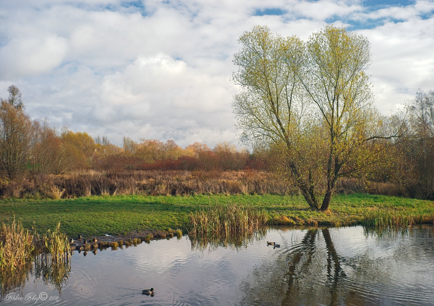 , Орлов Олег