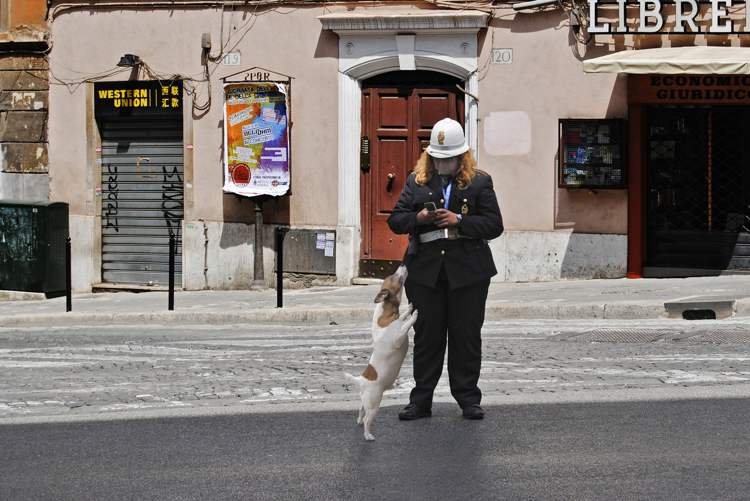 полиция, собака, улица, полицейская, штраф, Ходос Илья