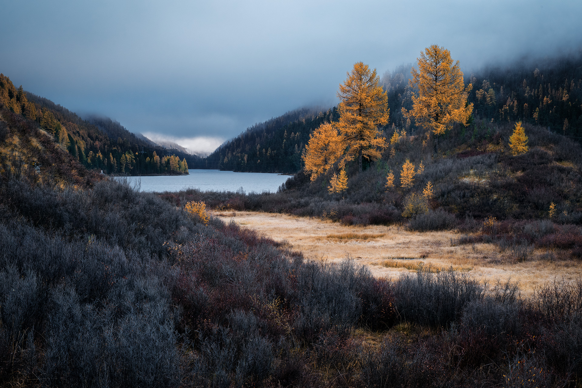 , Бодрягин Виталий