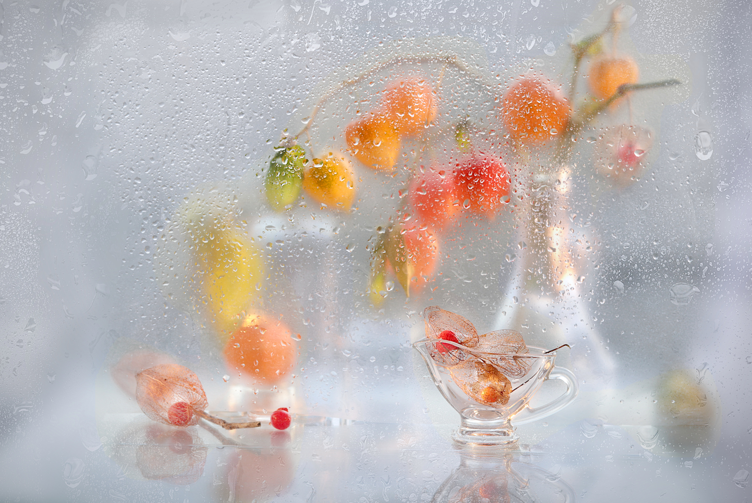 осень, физалис, ваза, капли, Шруб (Беляева) Татьяна