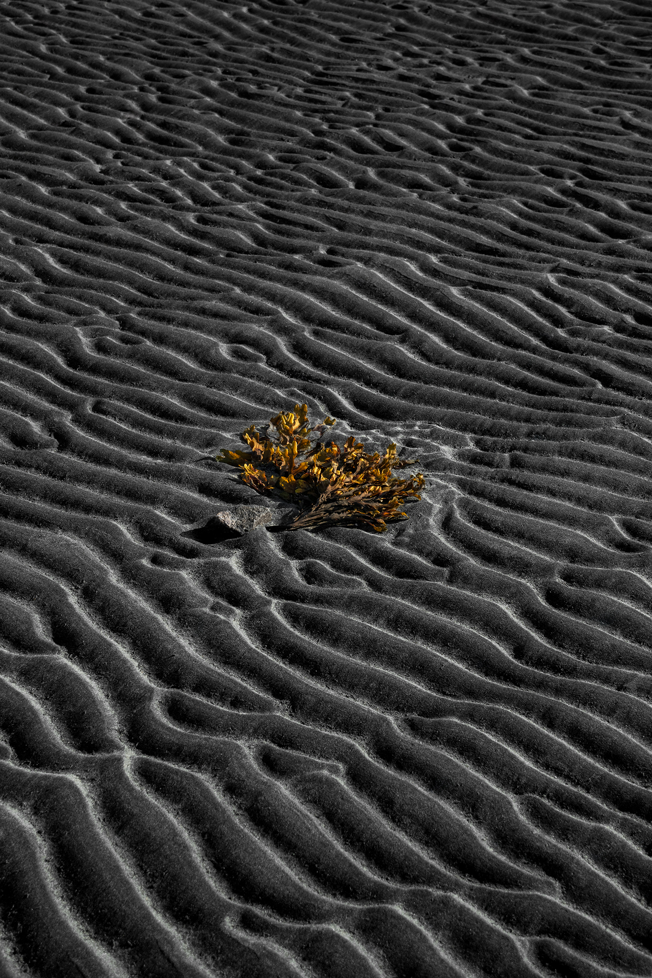 абстракция, минимализм, кольский, море, Растворов Игорь