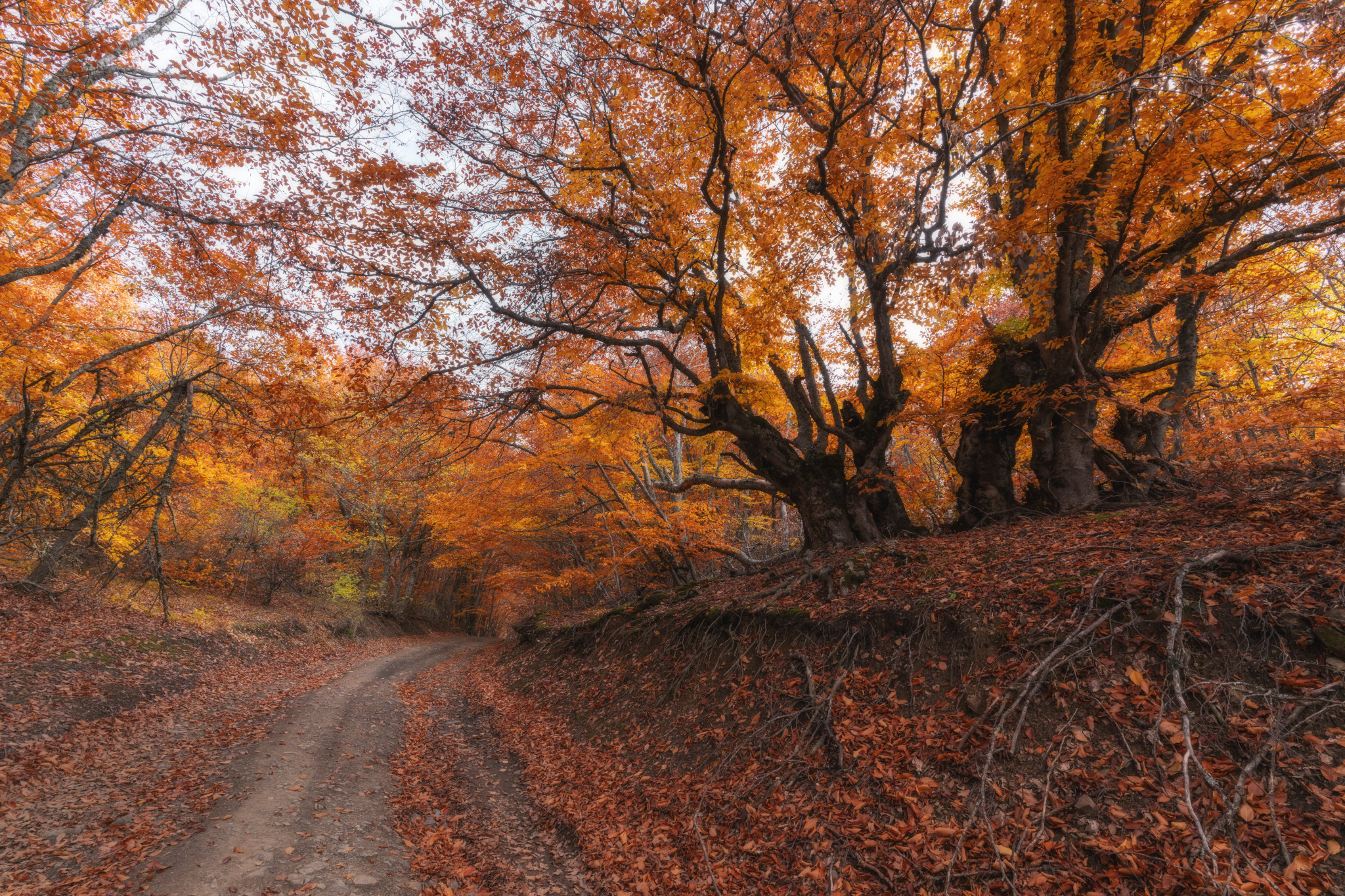 , Юлия Мальцева