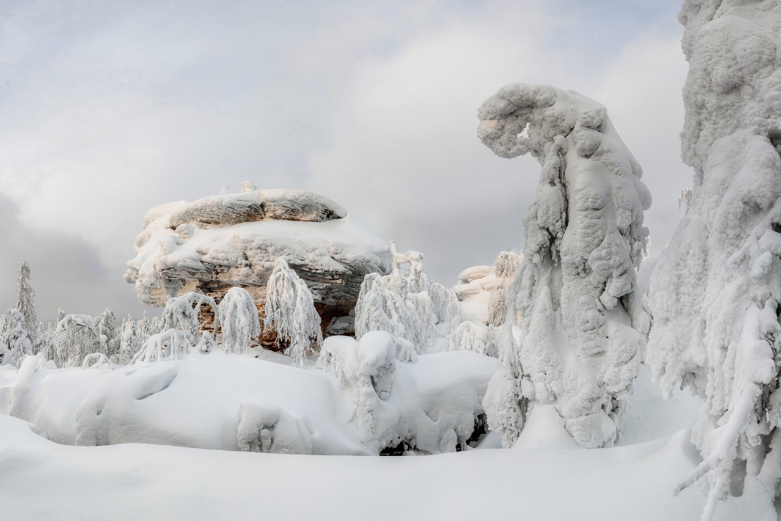 , Малыгин Андрей