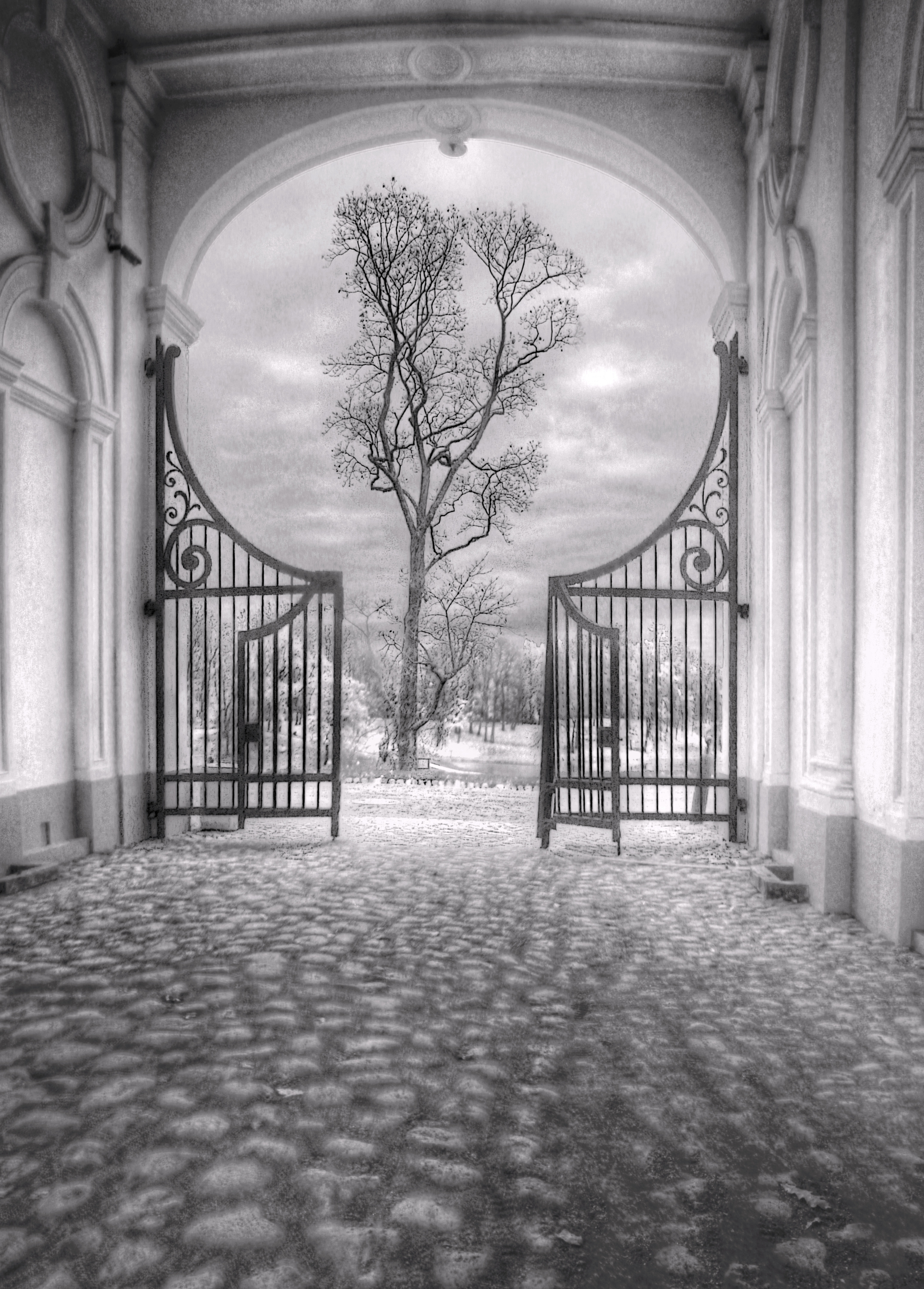 , Сергей Григорьев