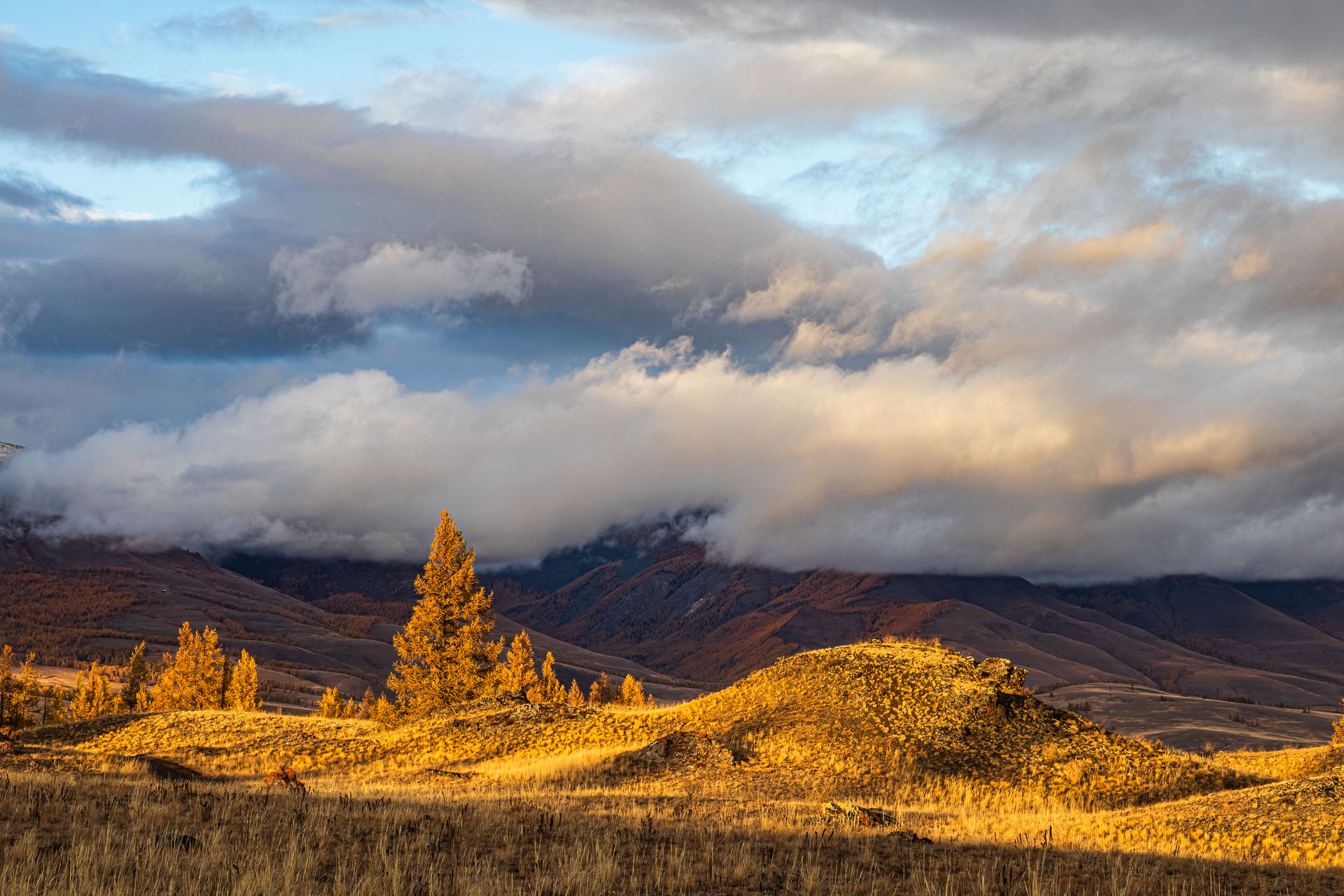 алтай, Добролюбова Тамара