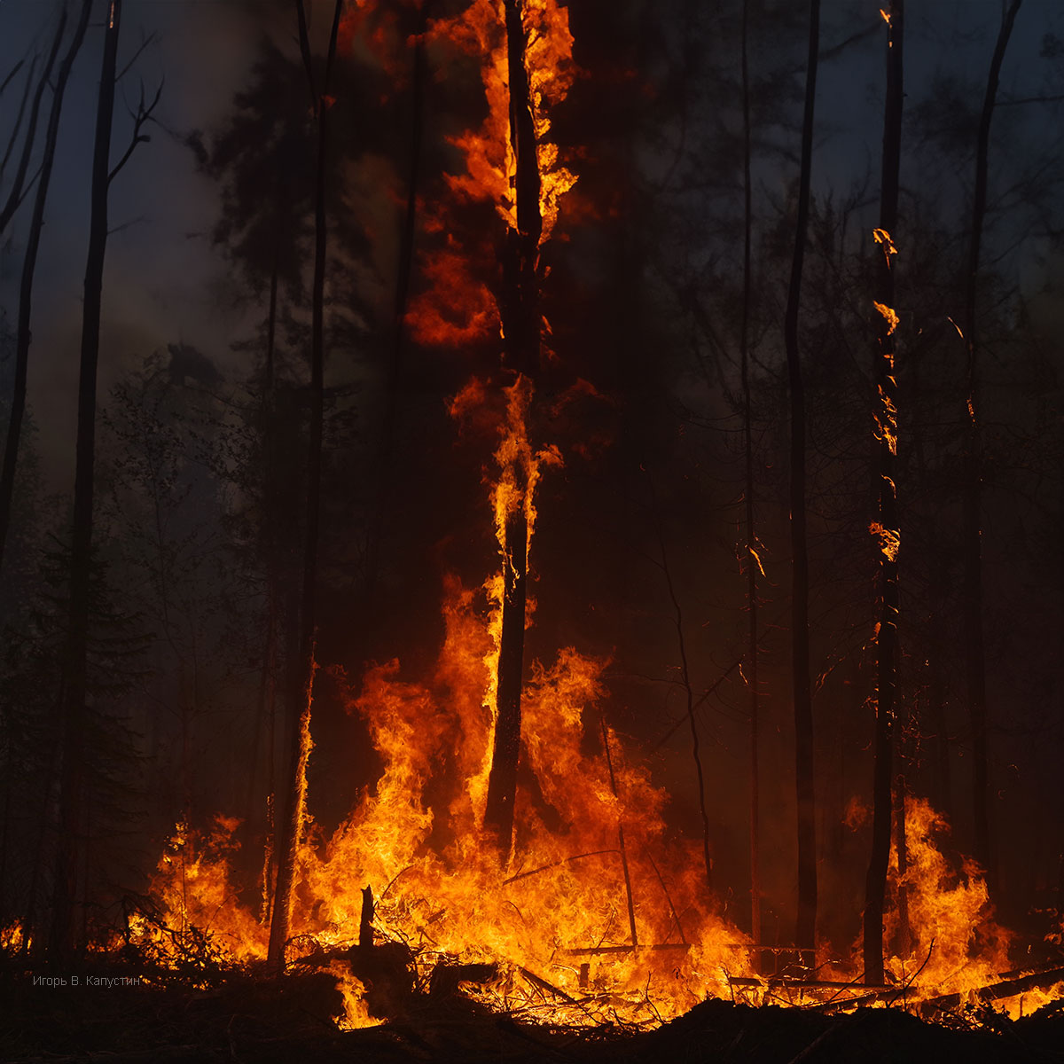 , Капустин Игорь