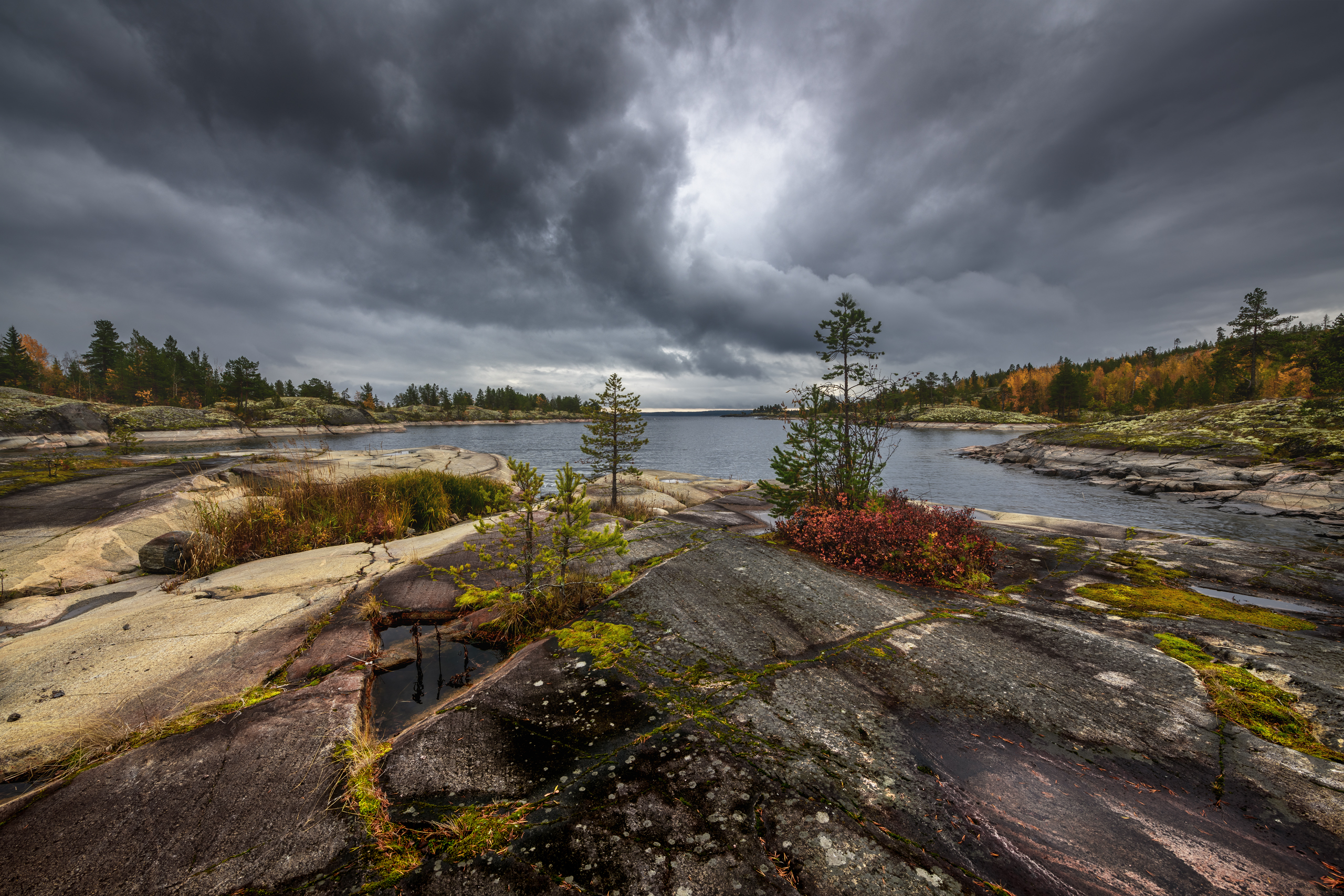 ладога, Евдокимов Максим