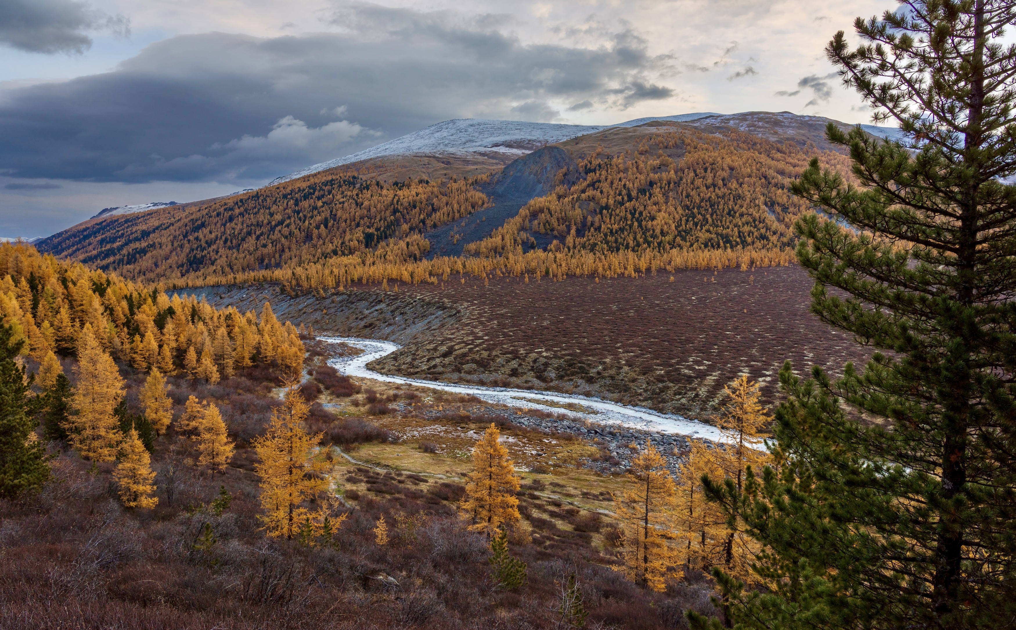 , Oleg Matronitskiy  olegmatr@mail.ru