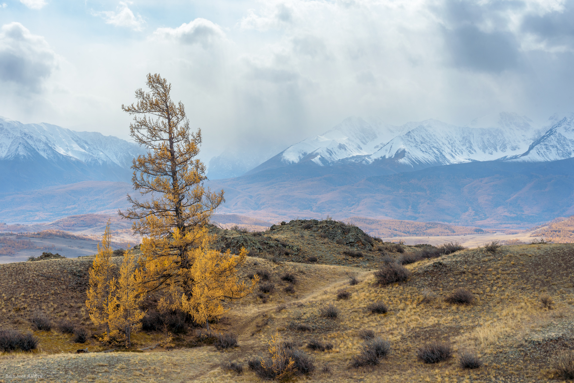алтай, горный алтай, природа, осень, золотая осень, горы, северочуйский хребет, Vasilyev Andrey
