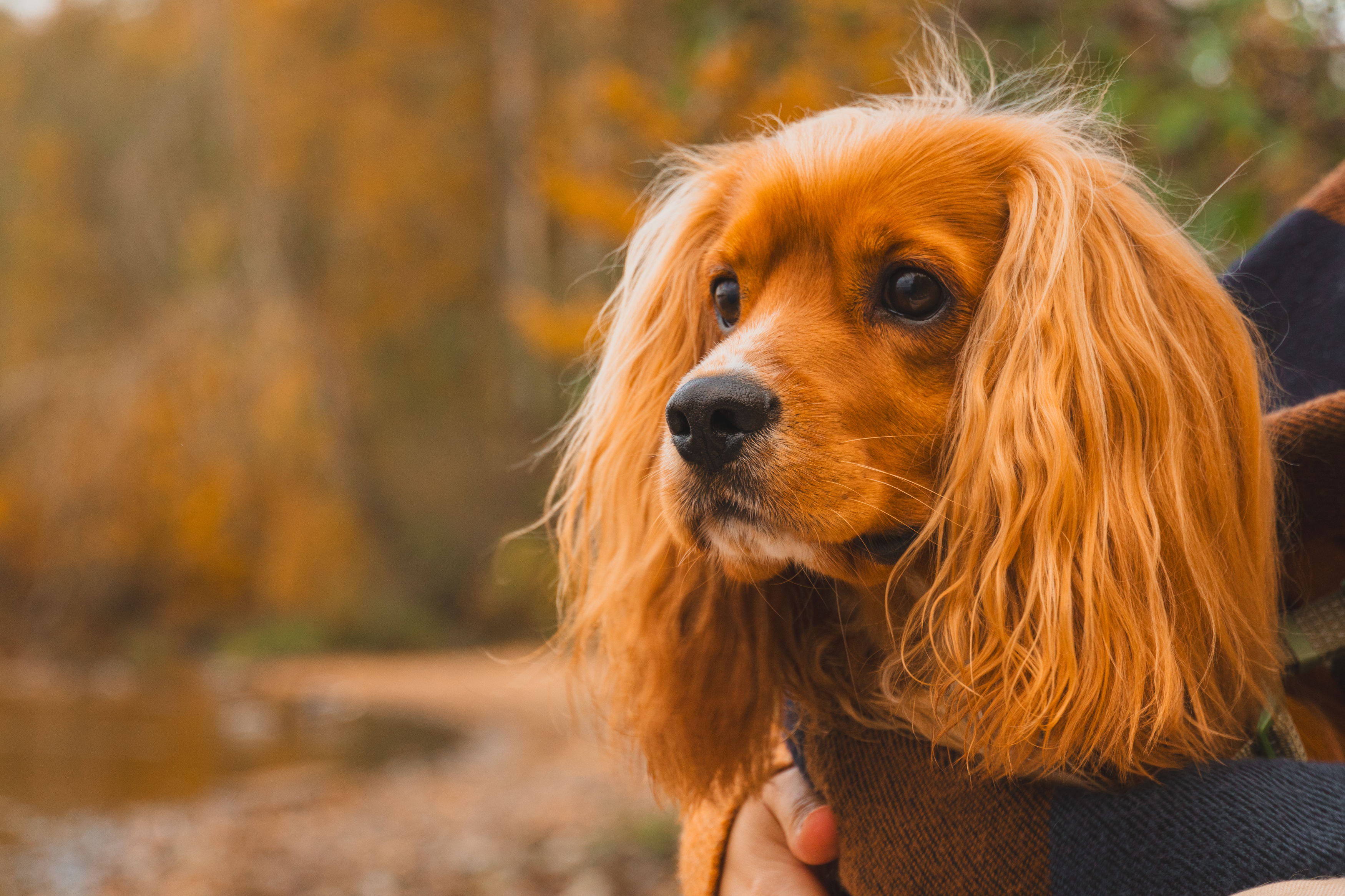 , Власьев Константин