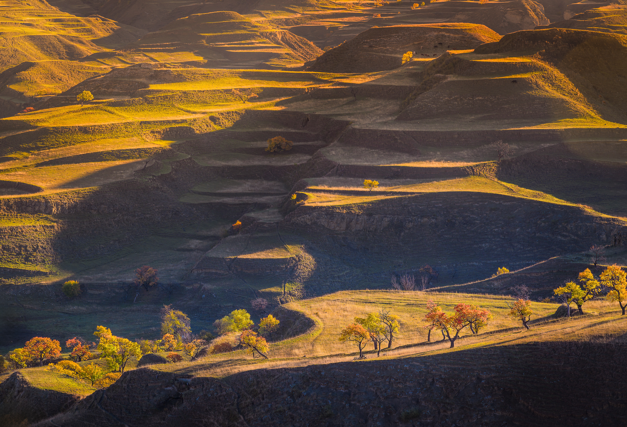 дагестан, горный дагестан, осень, октябрь, террасы, палитра осени, Булгаков Сергей