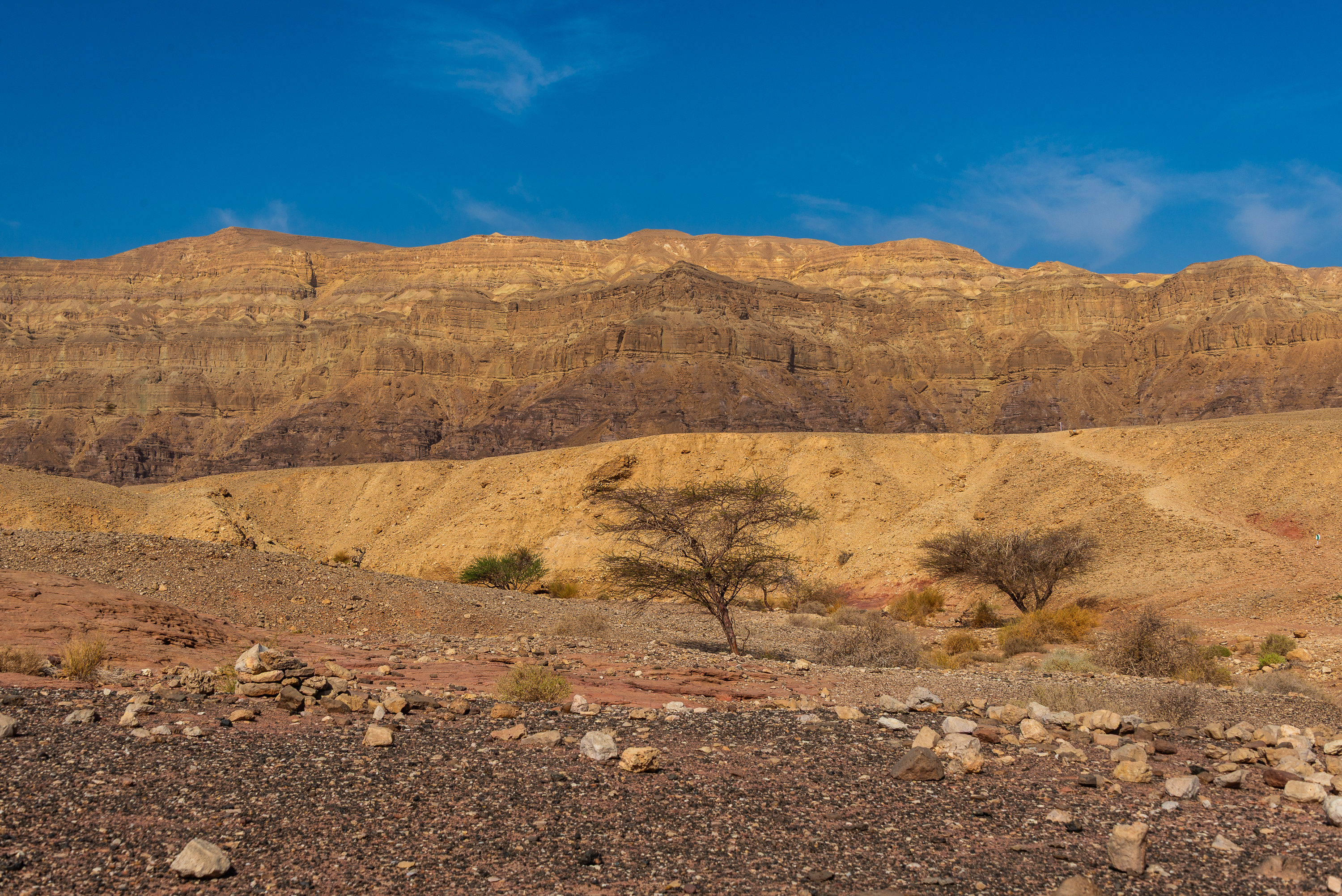 , Vladimir Bragilevsky