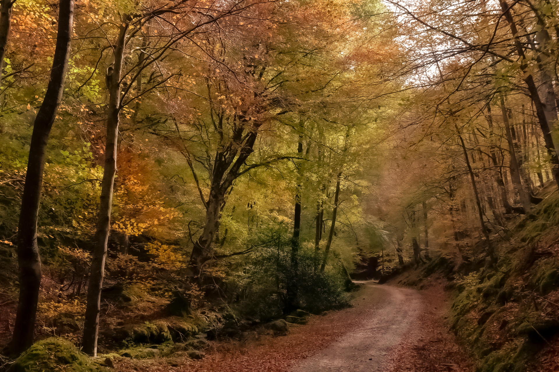 , Antonio Cantabrana