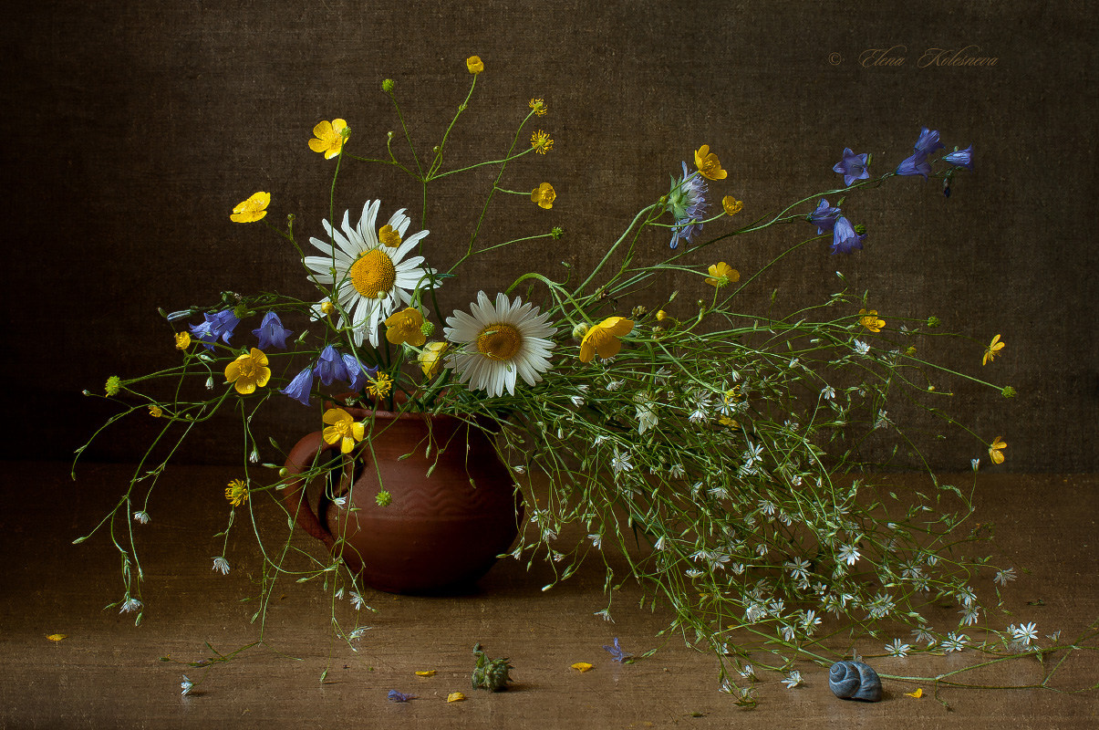 лето, букет, цветы, Колеснева Елена