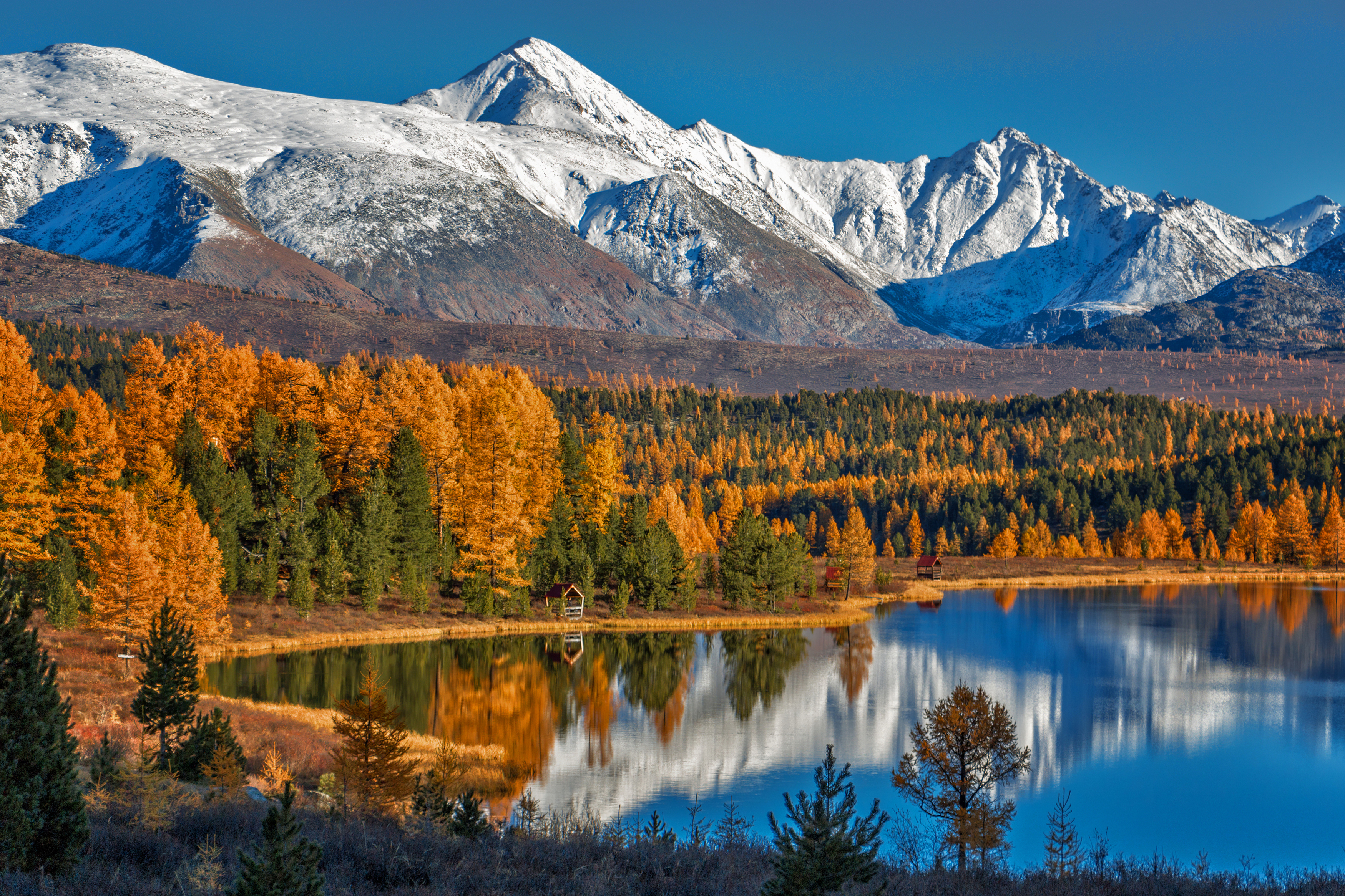 , Юдинских Марина