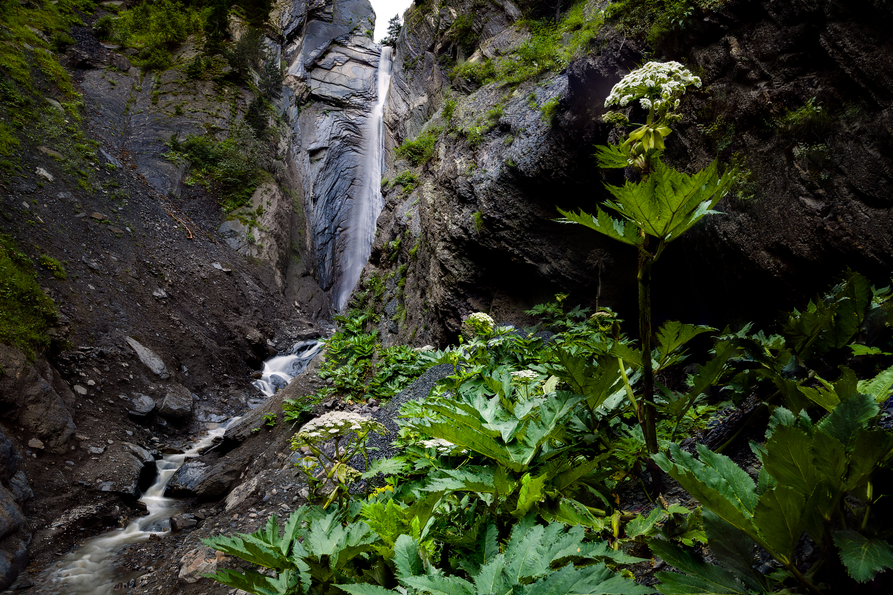 горы, Дагестан, Южный Дагестан, пейзаж, рассвет, водопад, панорама, растения, цветы, Влад Рябинин