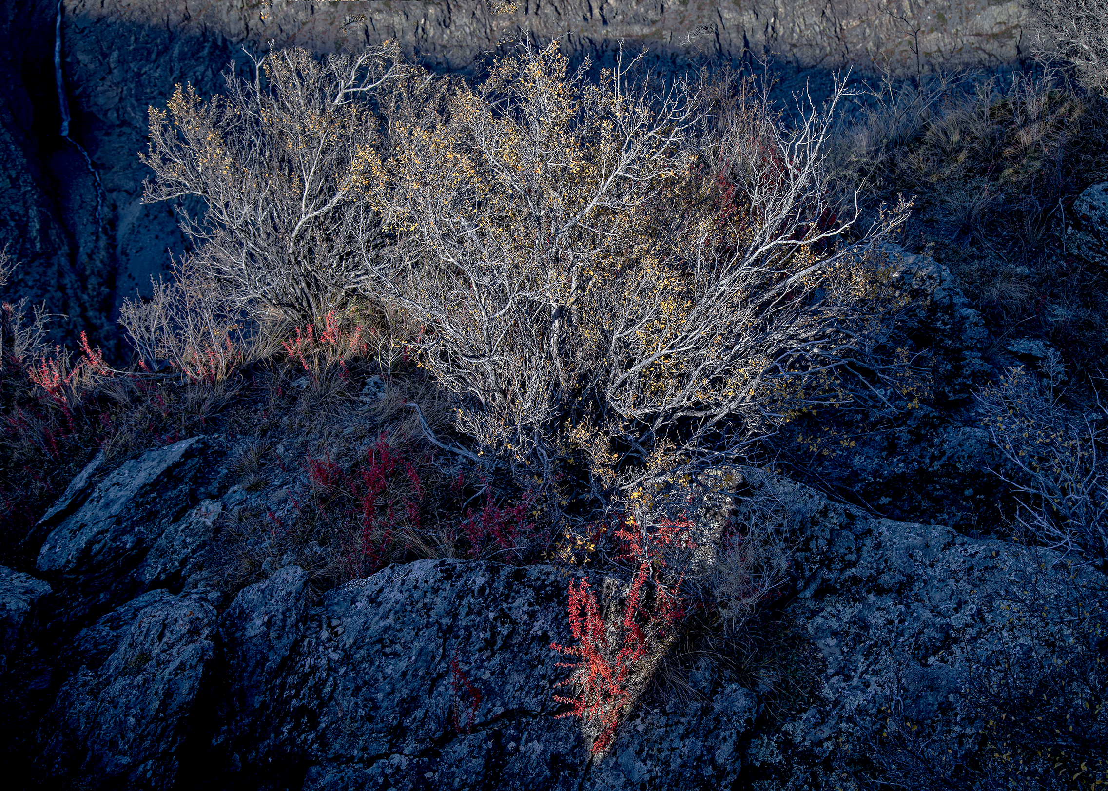 , Бирюков Вячеслав