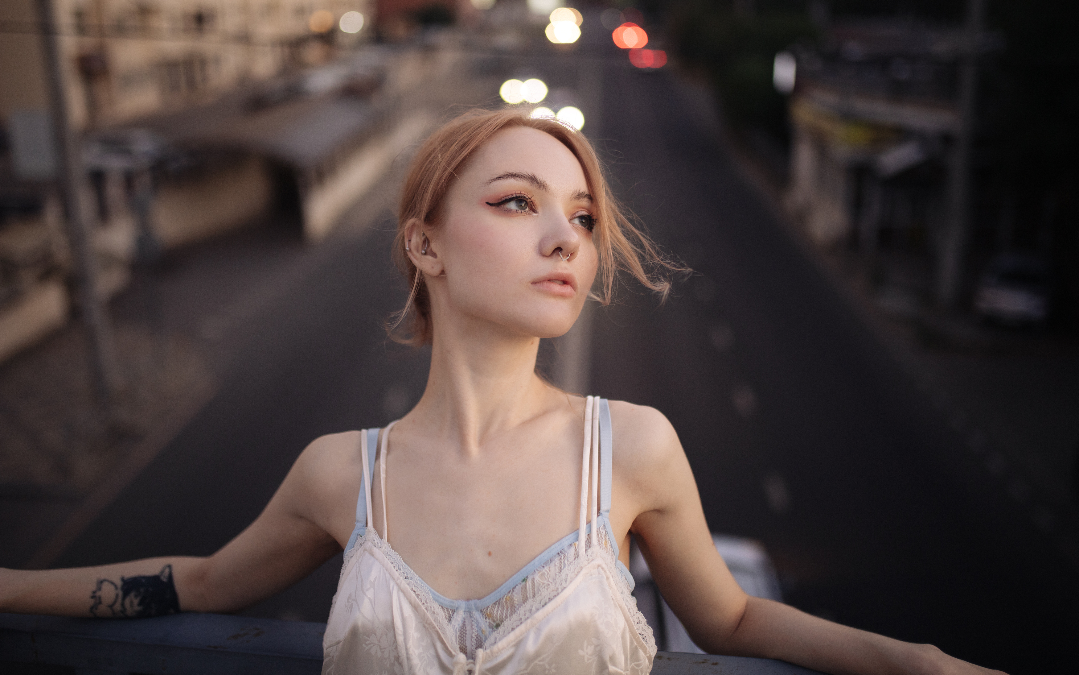 , Нестеренко Александр