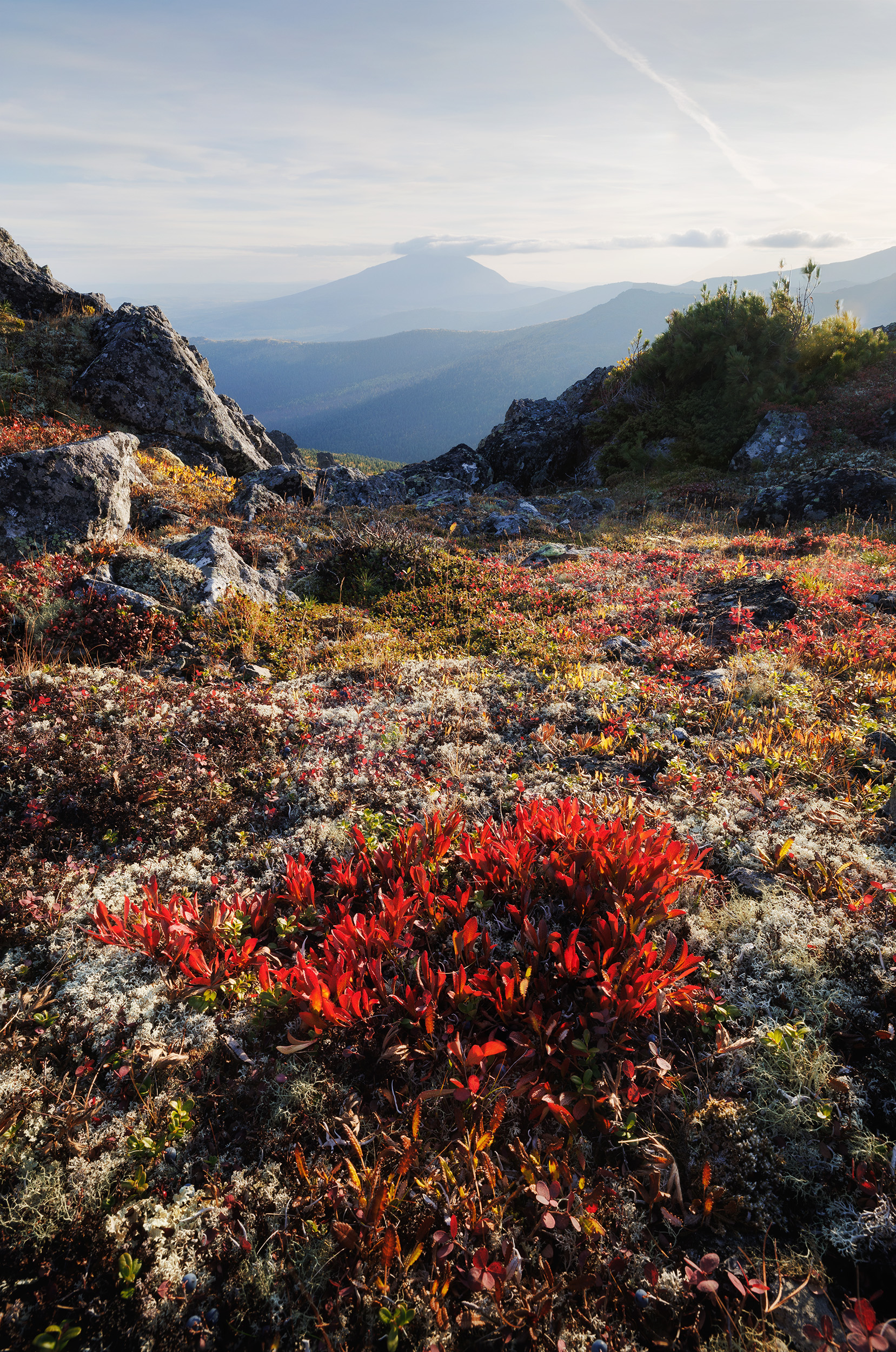 , Сергей Гарифуллин