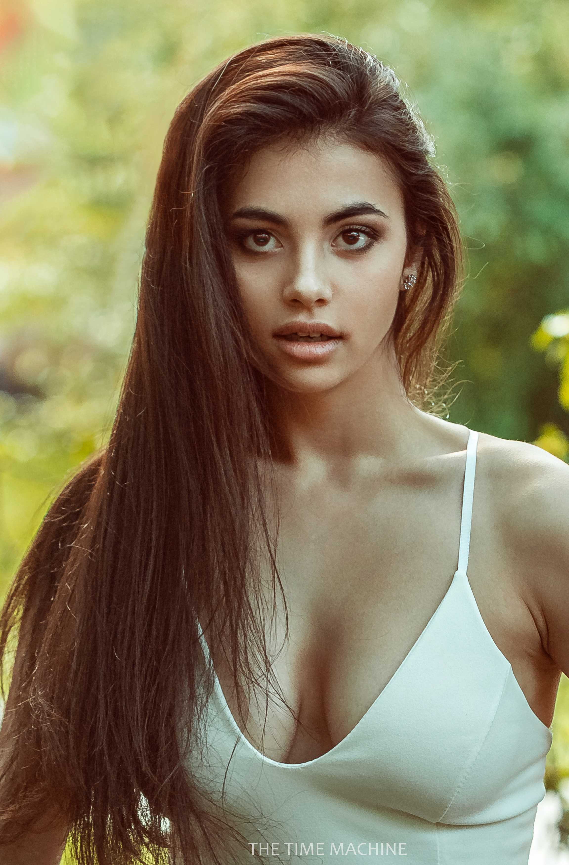 , Михаил Бове