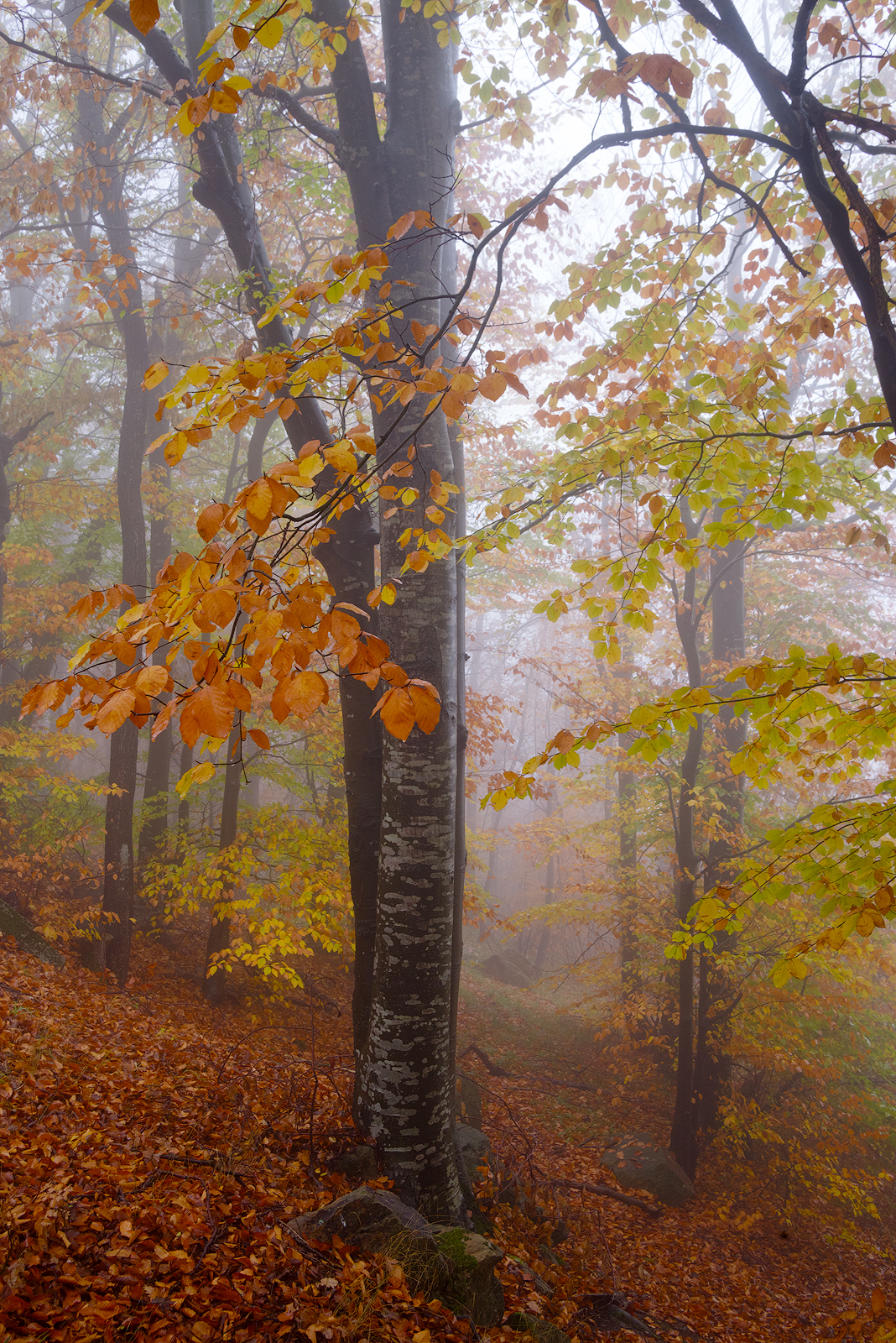 , Любослав Любомиров