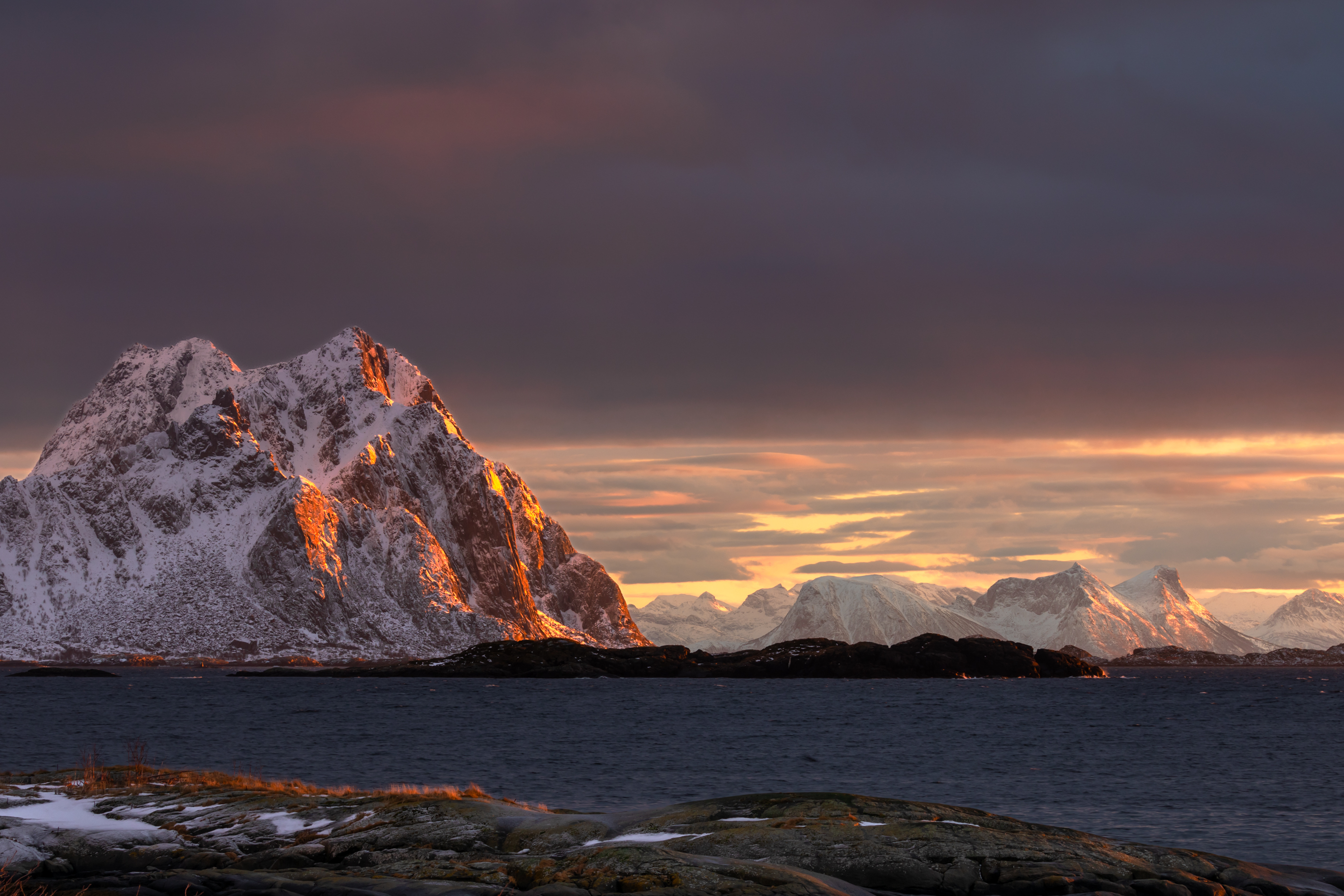 , Евгения Чех