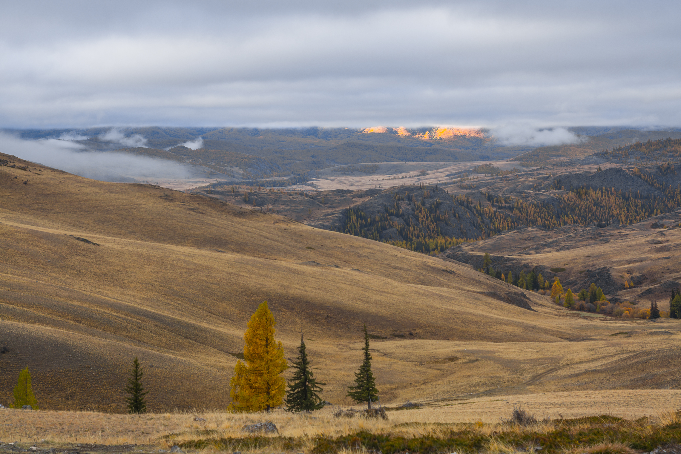 россия, горный алтай, осень, утро, рассвет, Андрей Поляков