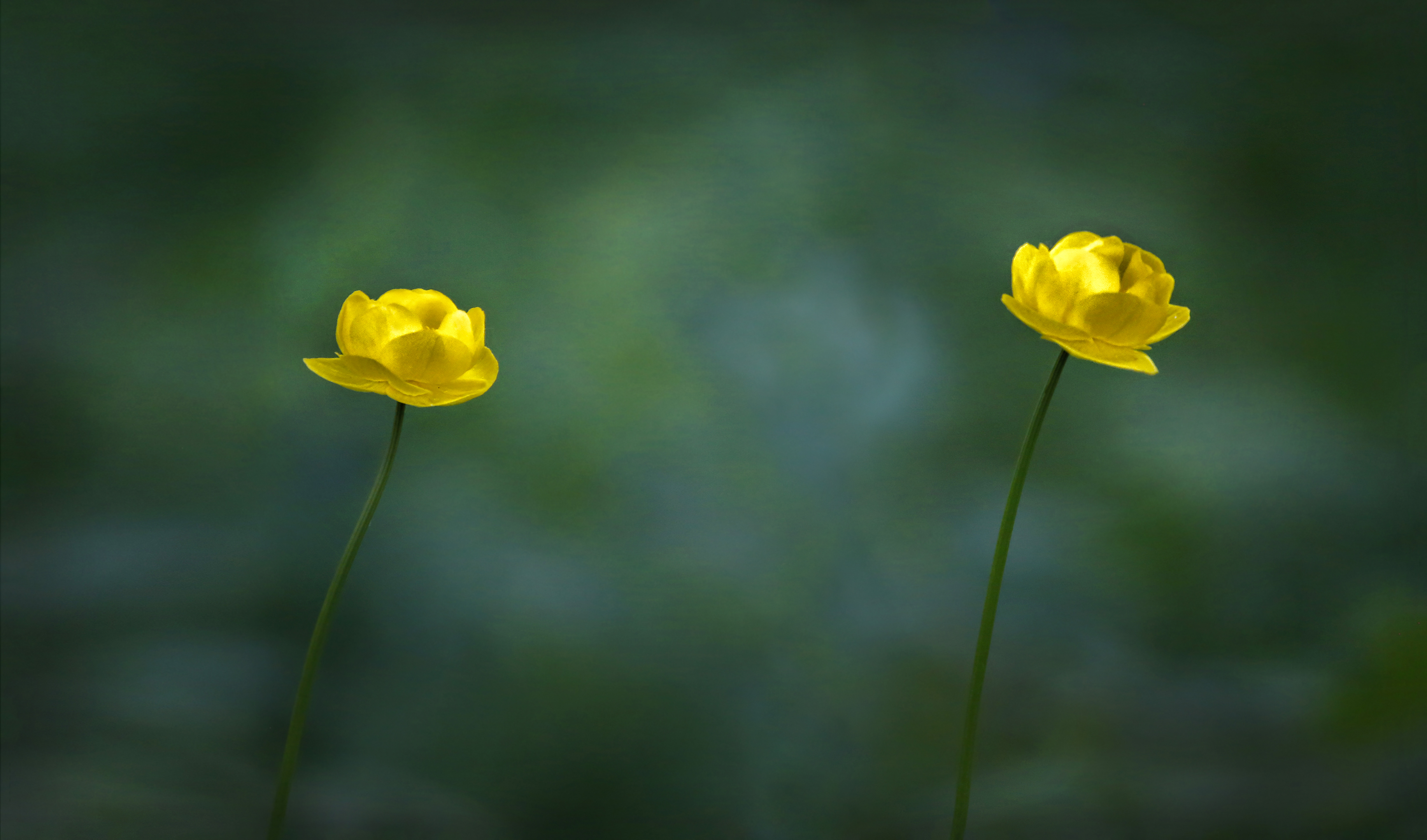 , Ушаков Валерий
