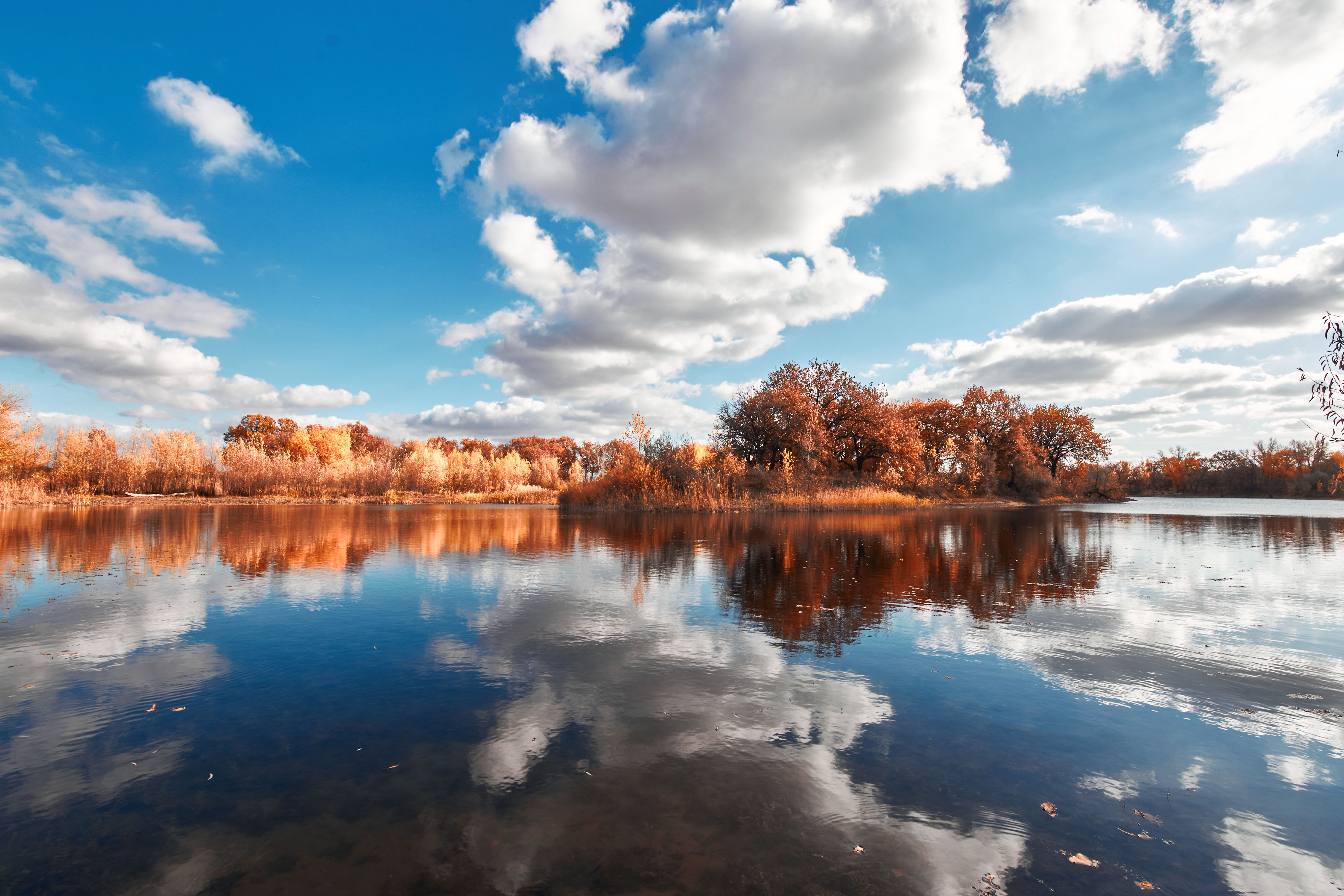 осенть, цвета осени, пейзаж, , Павел Сторчилов