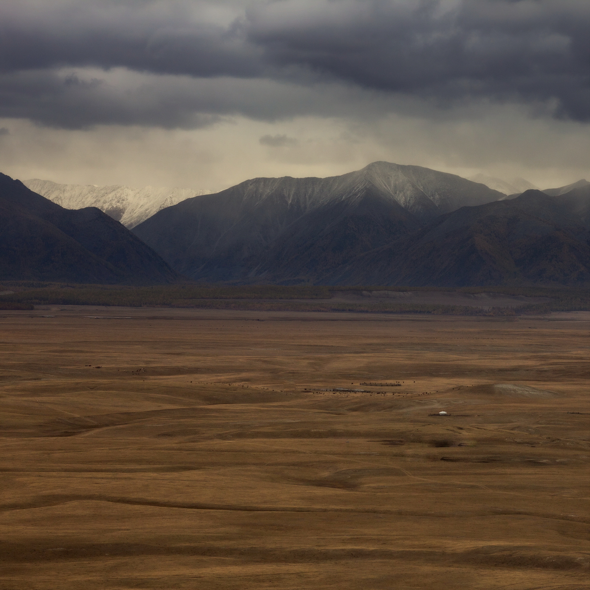 , Трофимов Алексей