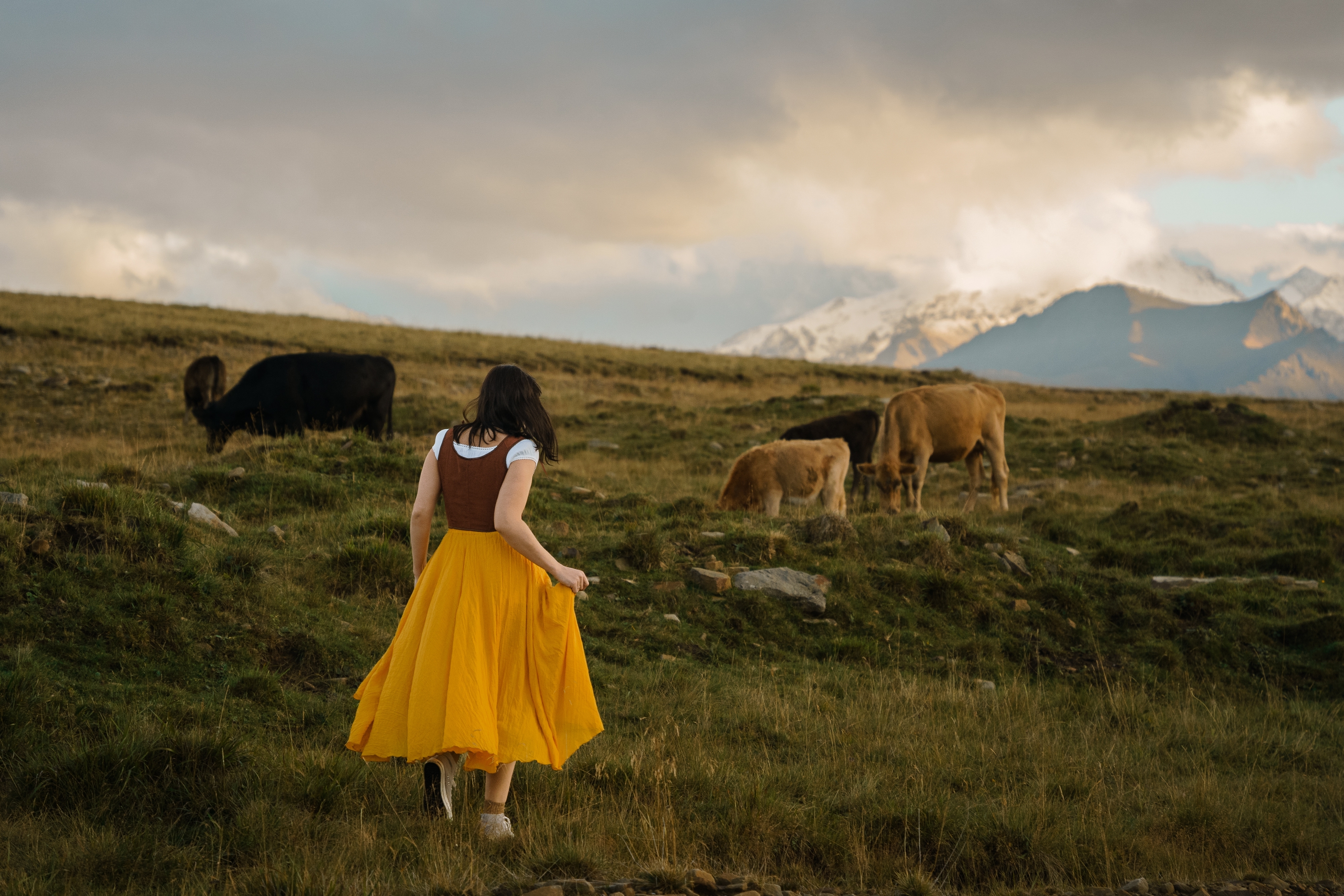 , Стеценко Александр