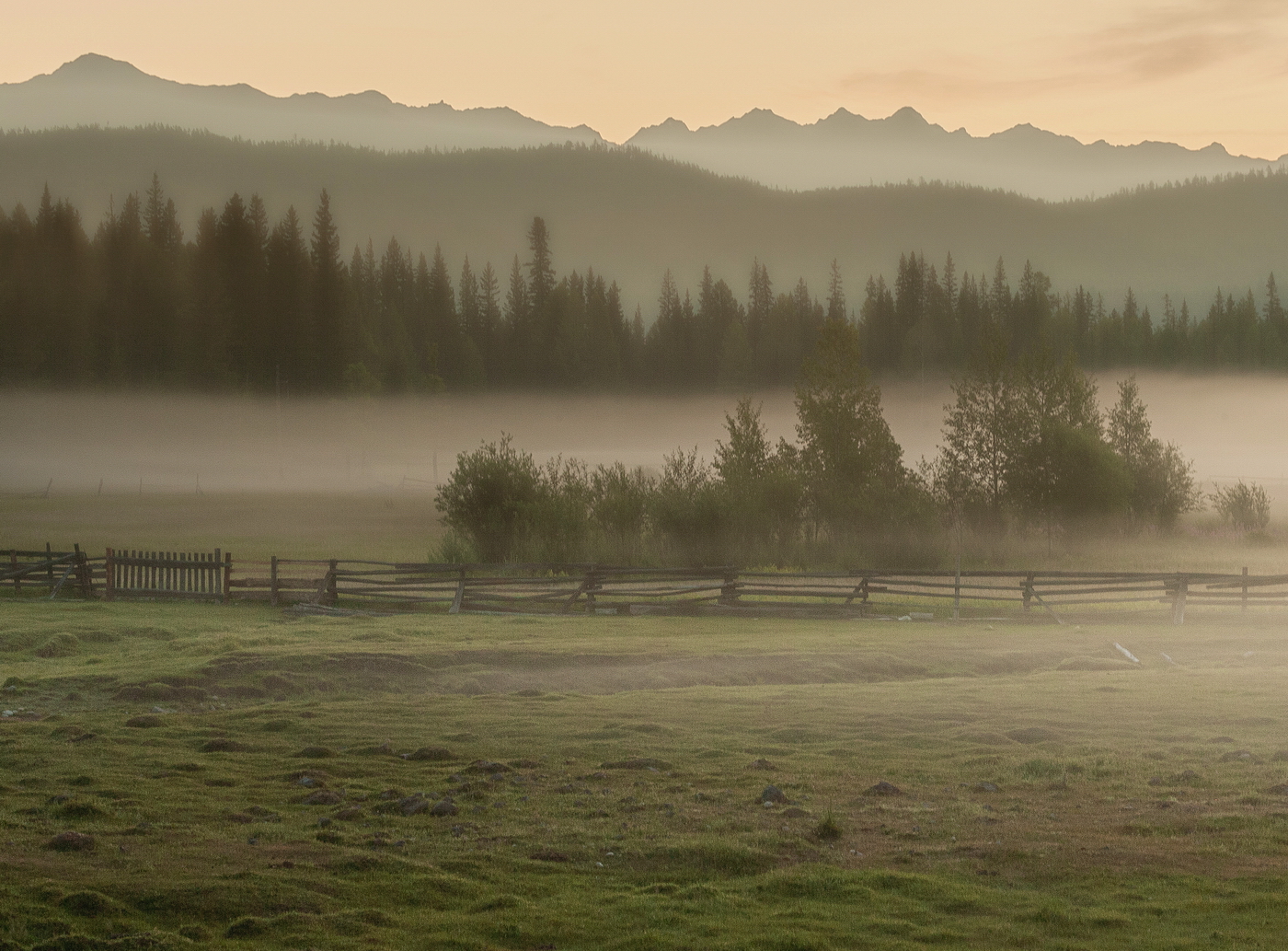 , Трофимов Алексей