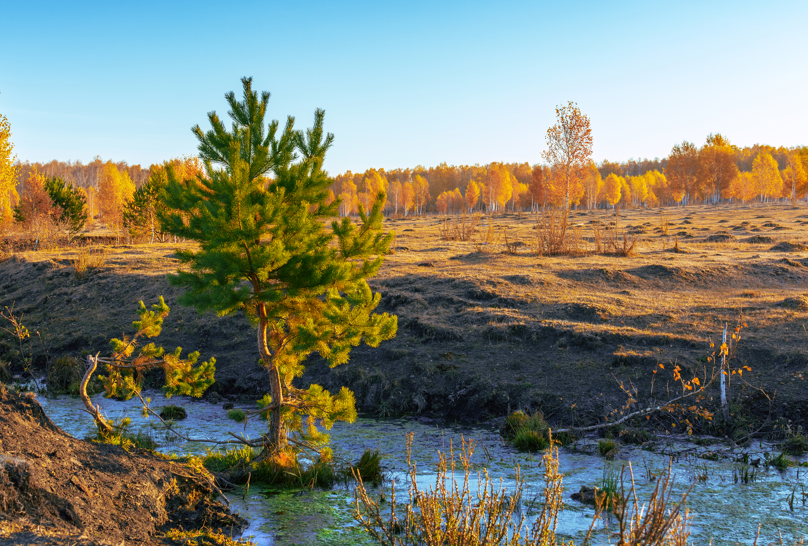 природа, пейзаж, урал, осень, Andrey