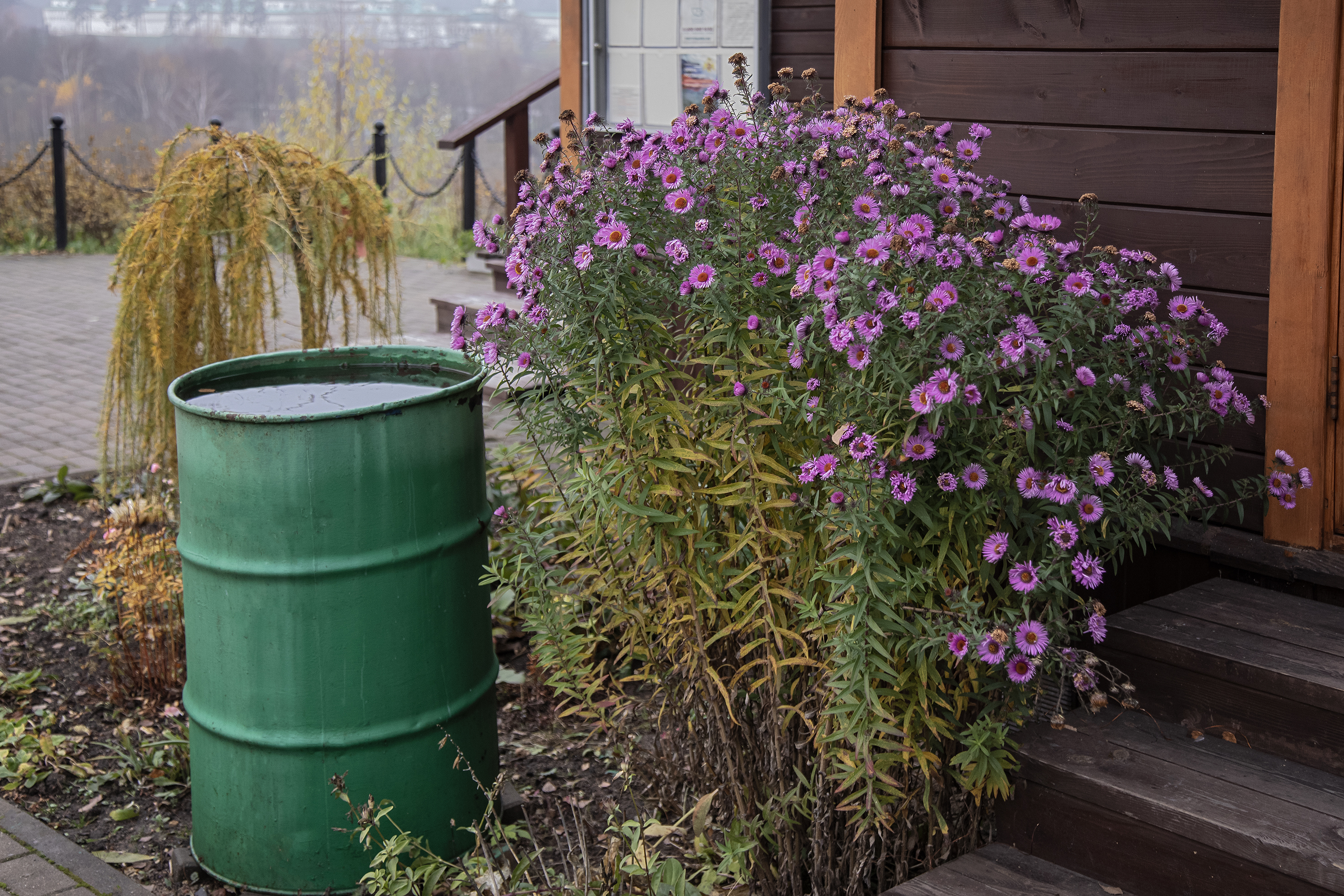 , Бирюков Вячеслав