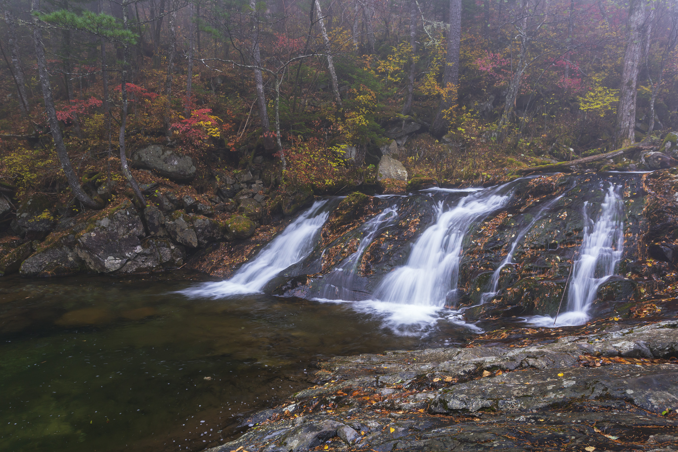 водопад, туман, тайга, Кузнецов Александр
