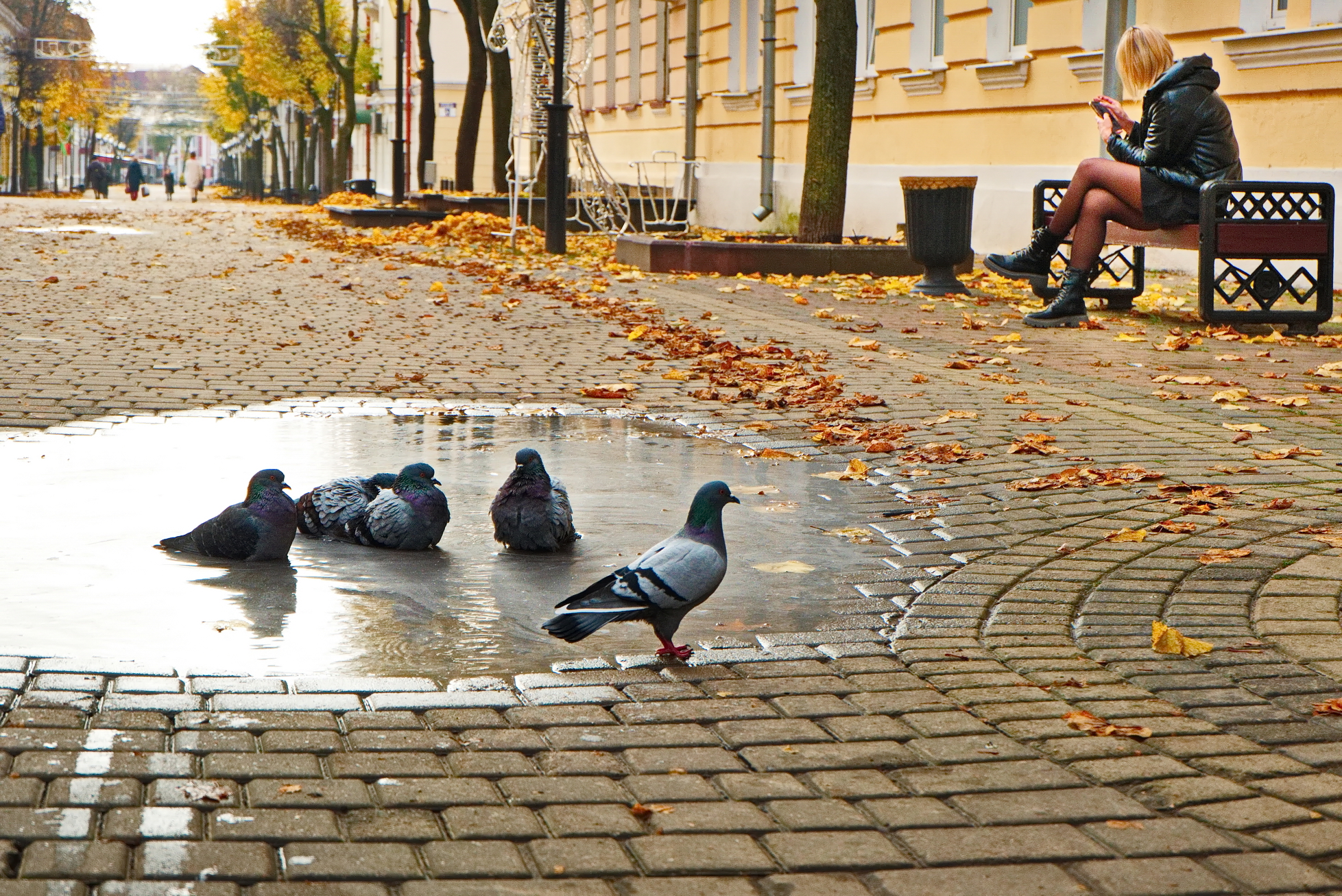 витебск, Виктор Гурков