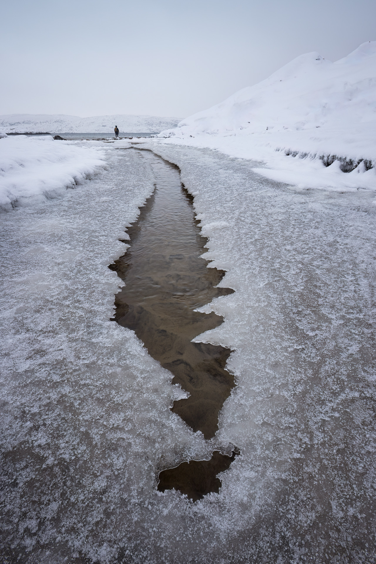 , Константин Маланин