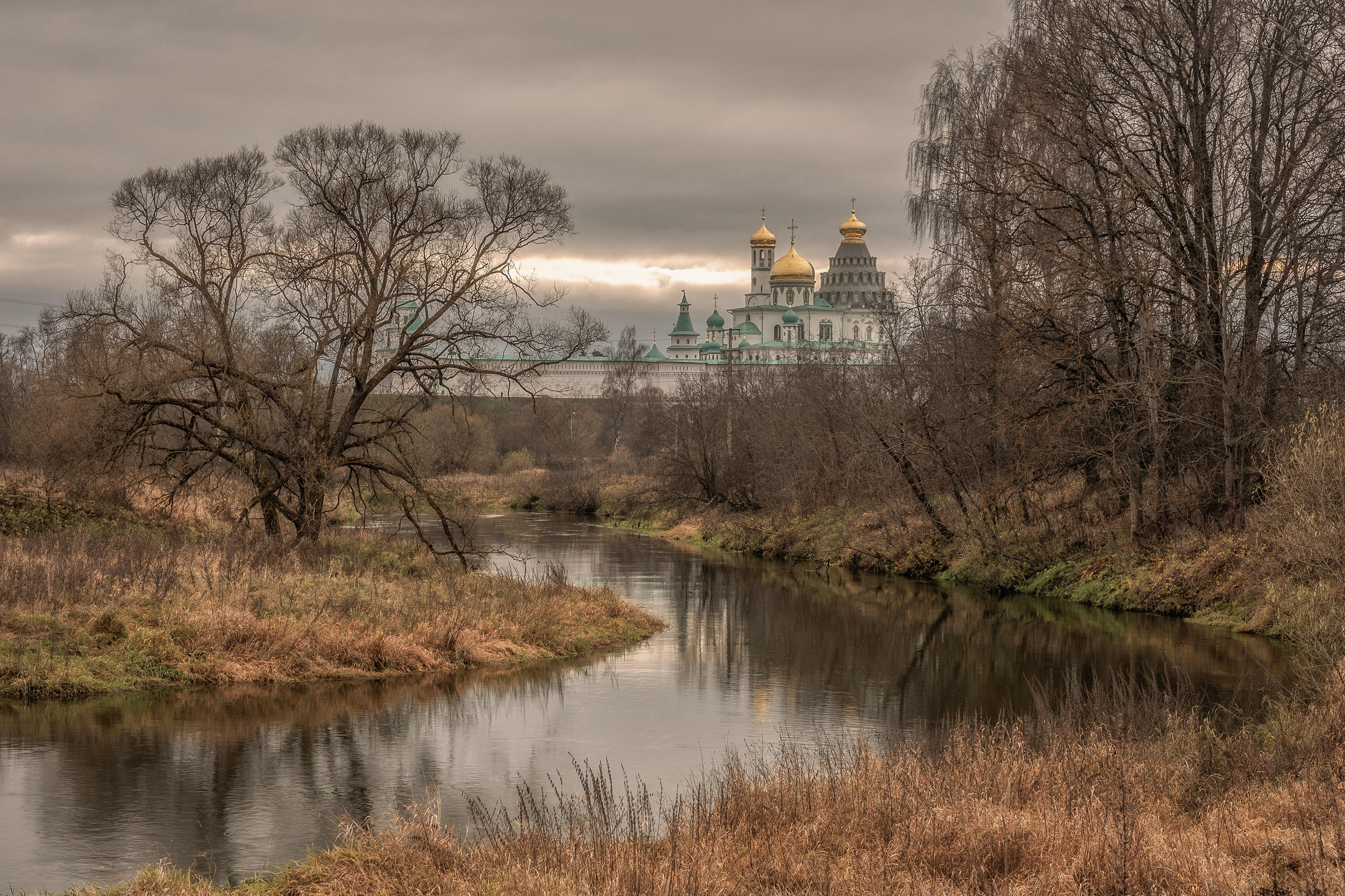 Московская область, Гусева Елена