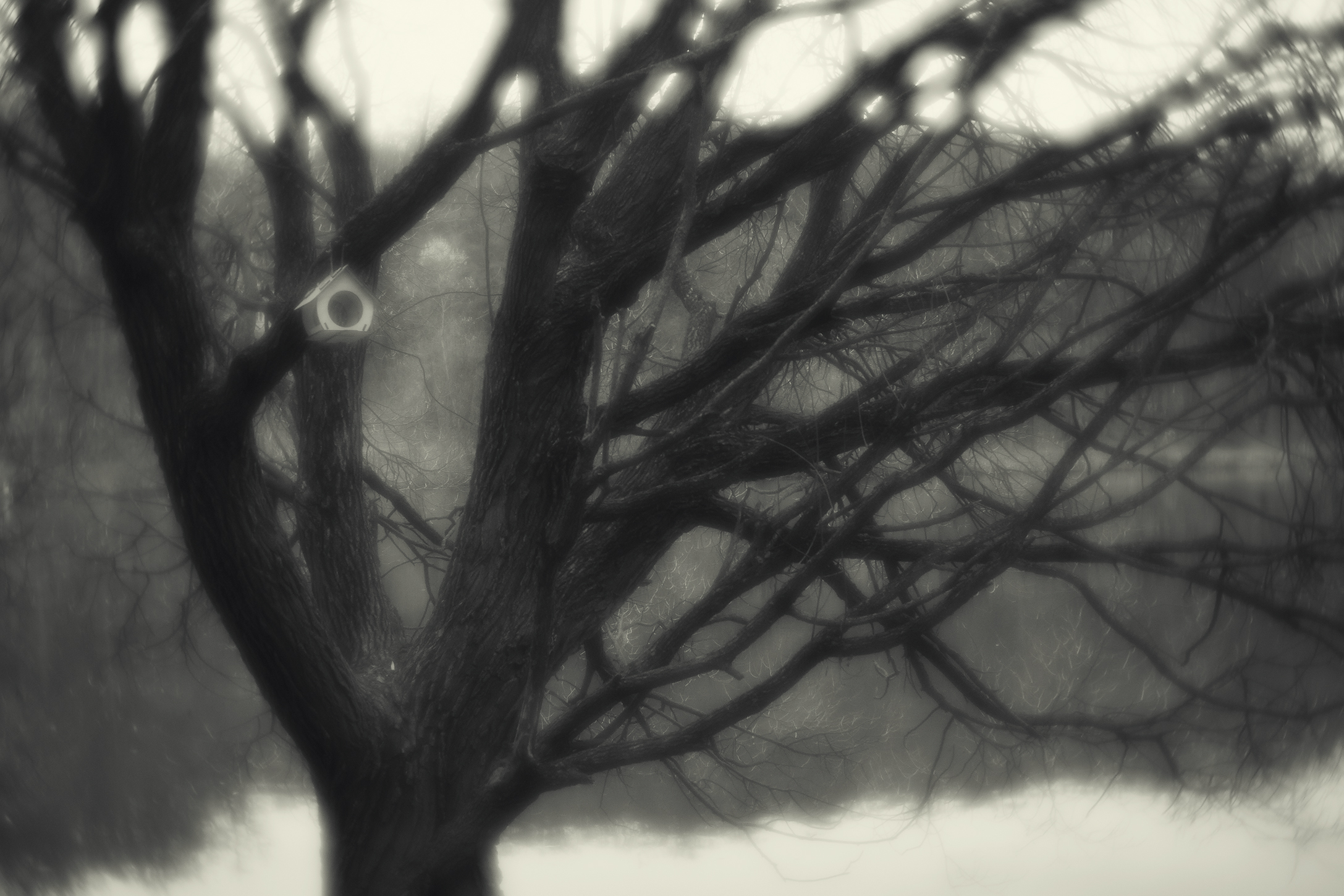 чб, Алексей Назаров