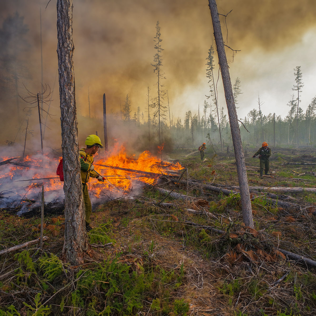, Капустин Игорь