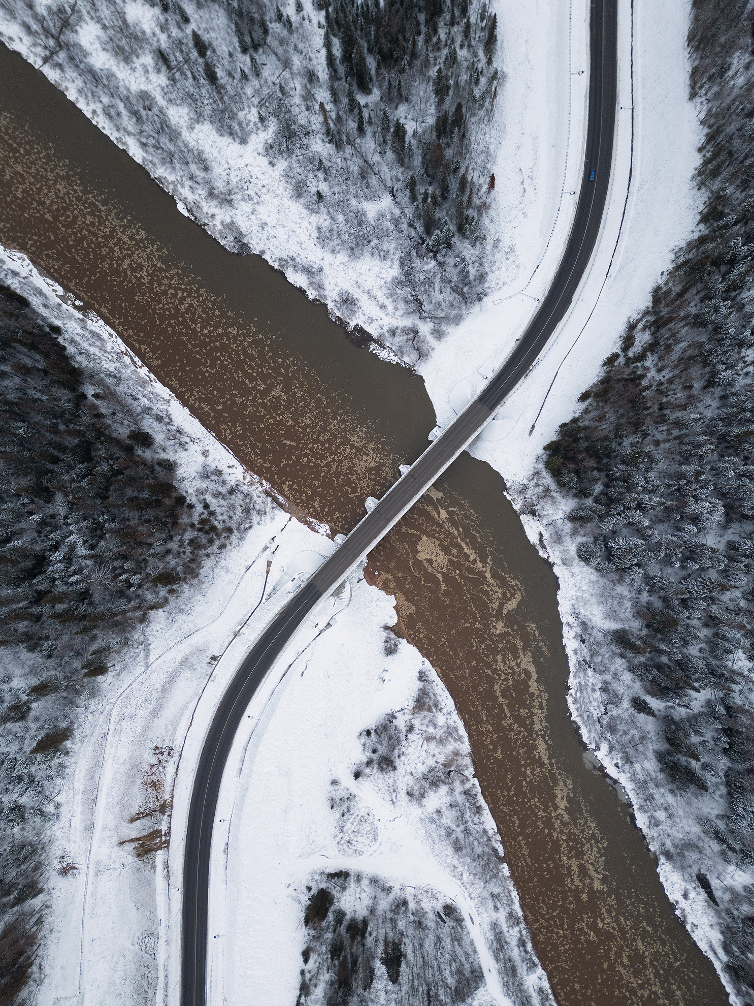 , Антон Кошетаров