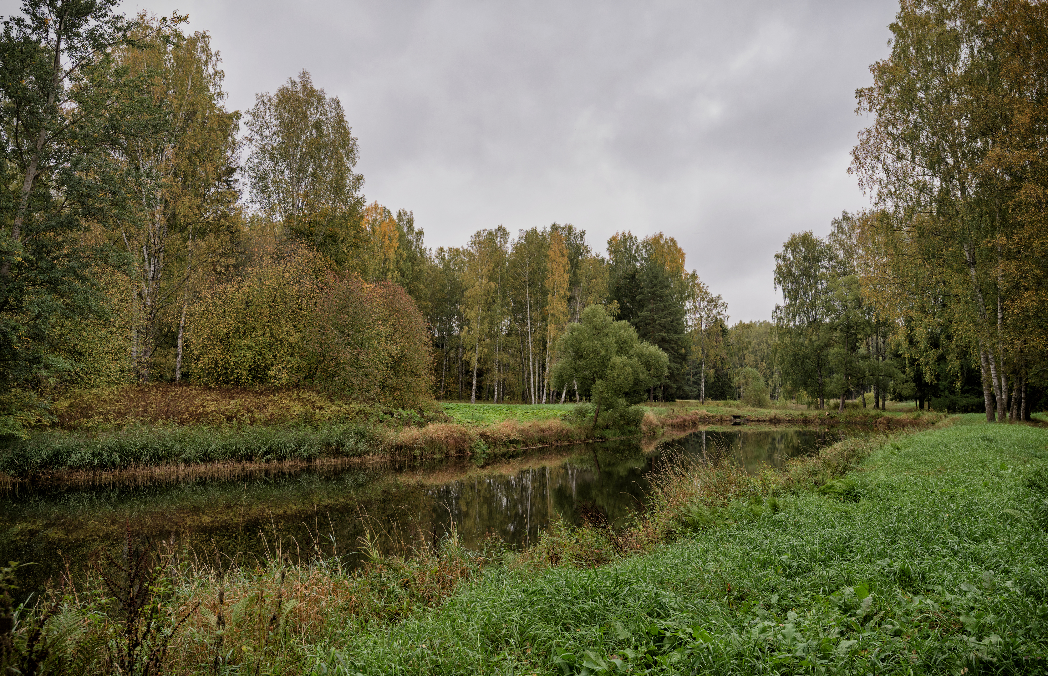 спб. павловск. парк. осень., Тихонов Дмитрий