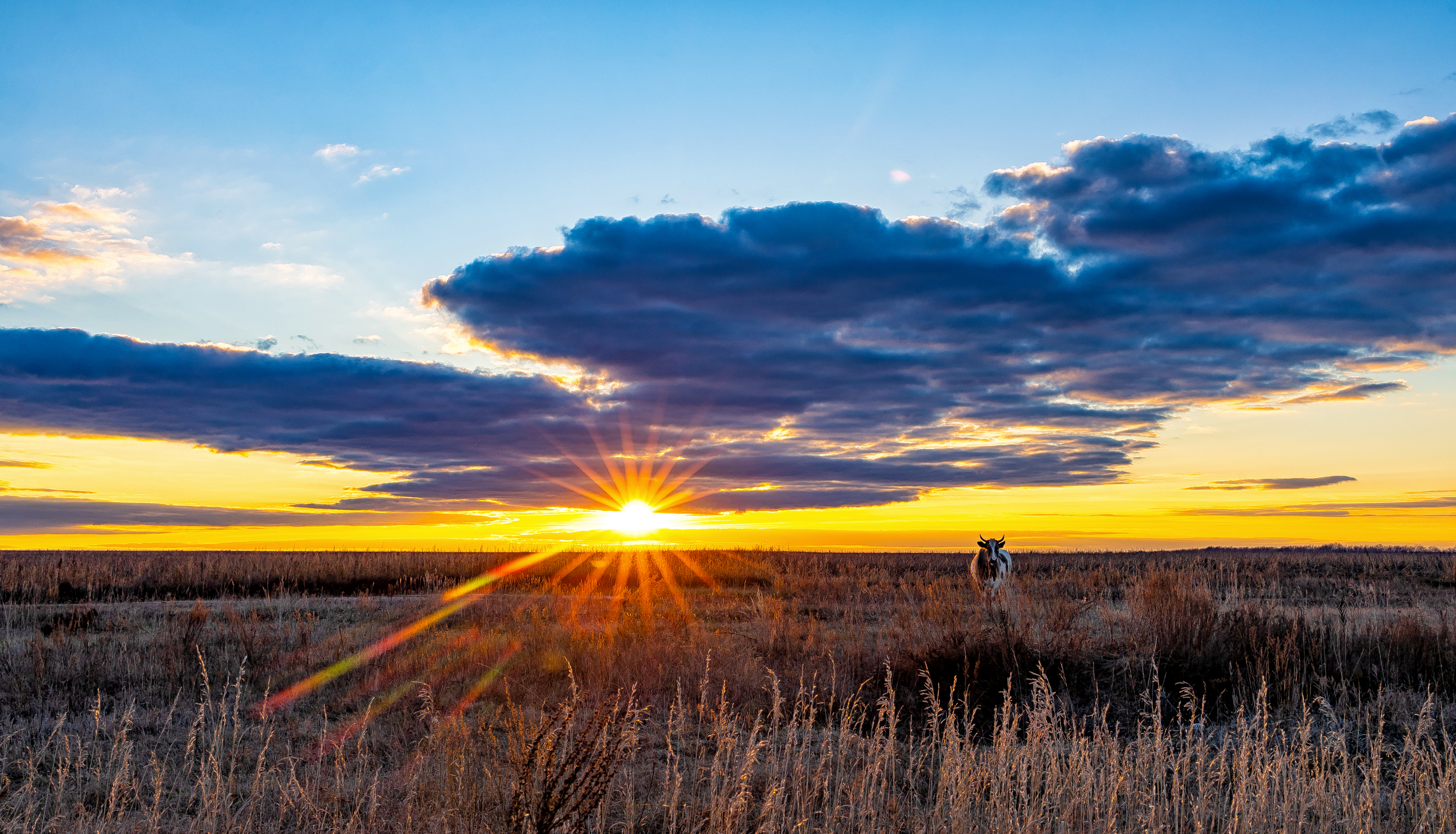 , Подосинников Максим
