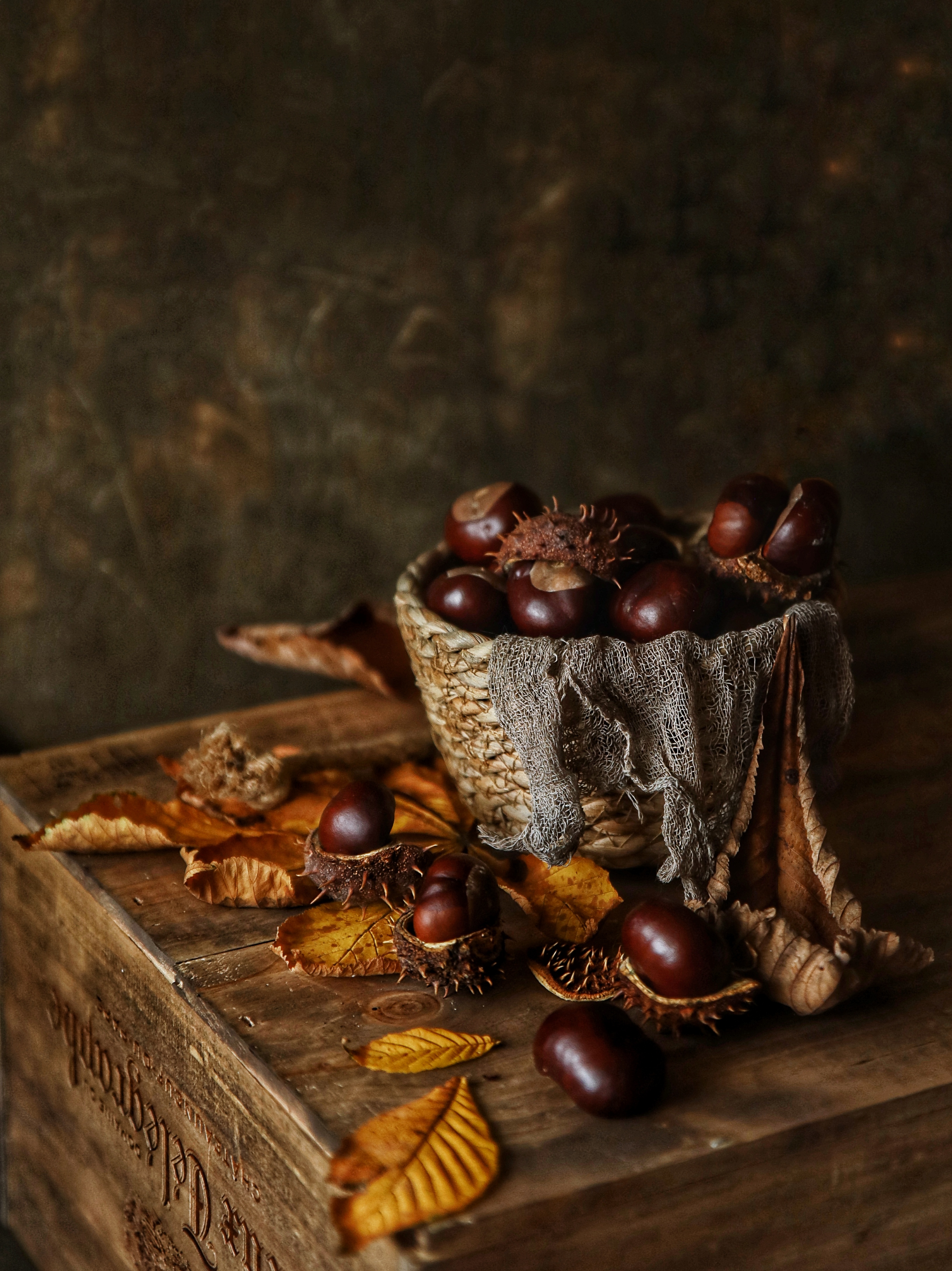 , Angelica Medvedeva