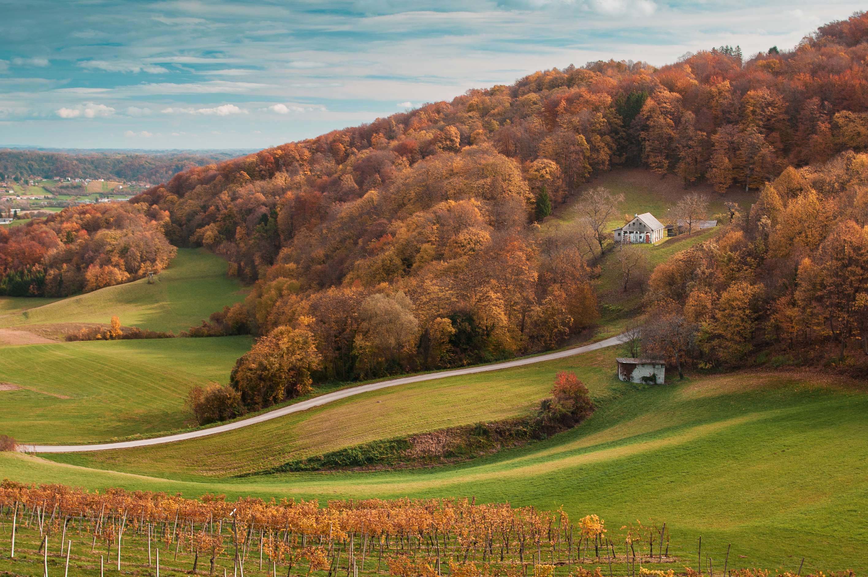 небо деревья трава дорога виноградник пейзаж деревня дом, Andrei